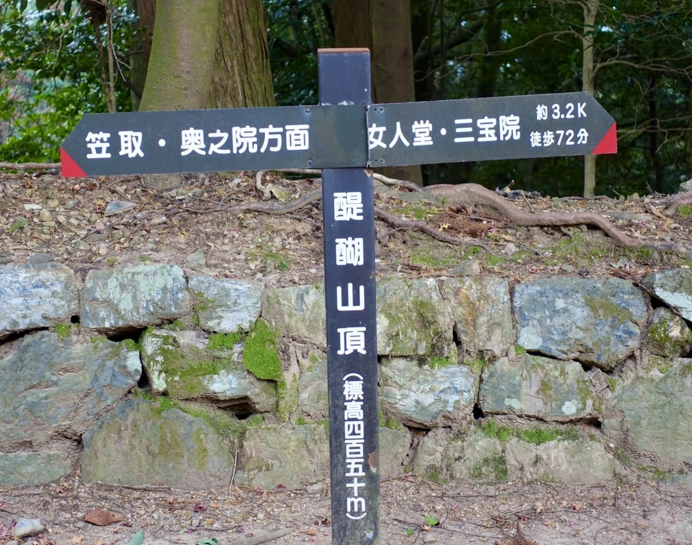 王城をゆくchapter2-3 醍醐寺(3)｜seiyuuudoku 無名人 晴遊雨読