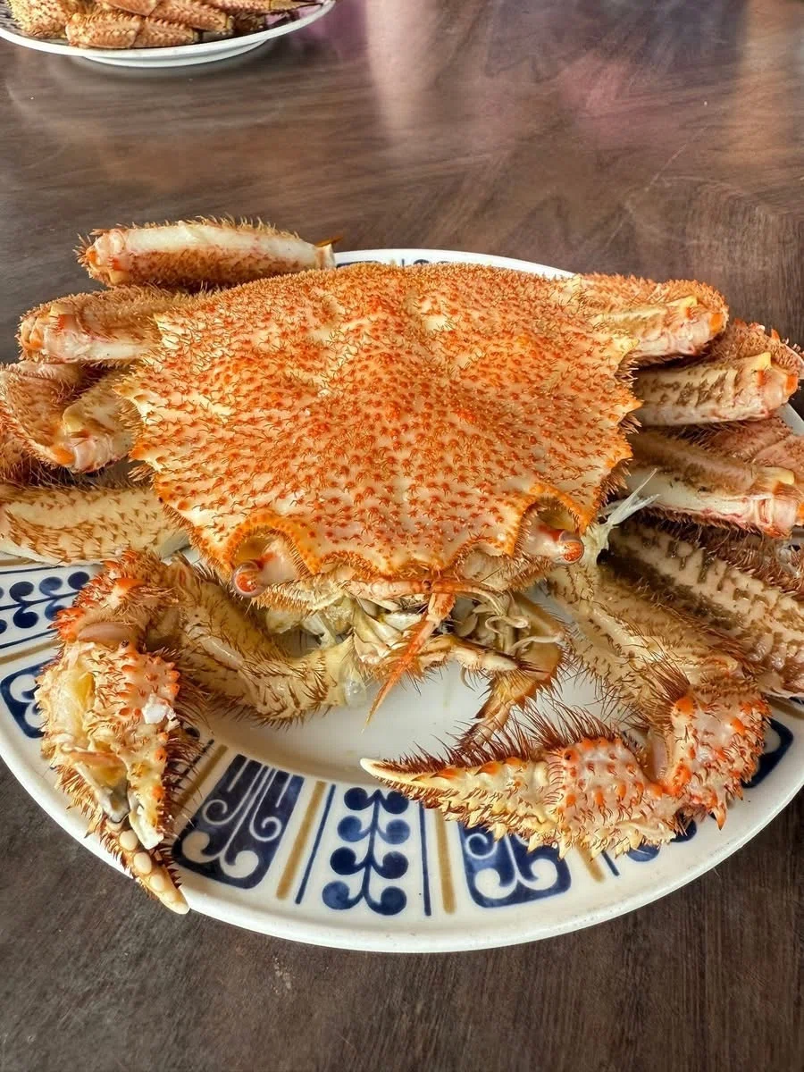 北海道白老町竹浦「かに太郎🦀」の名前の由来は⁉️｜山下やすし🦀かに