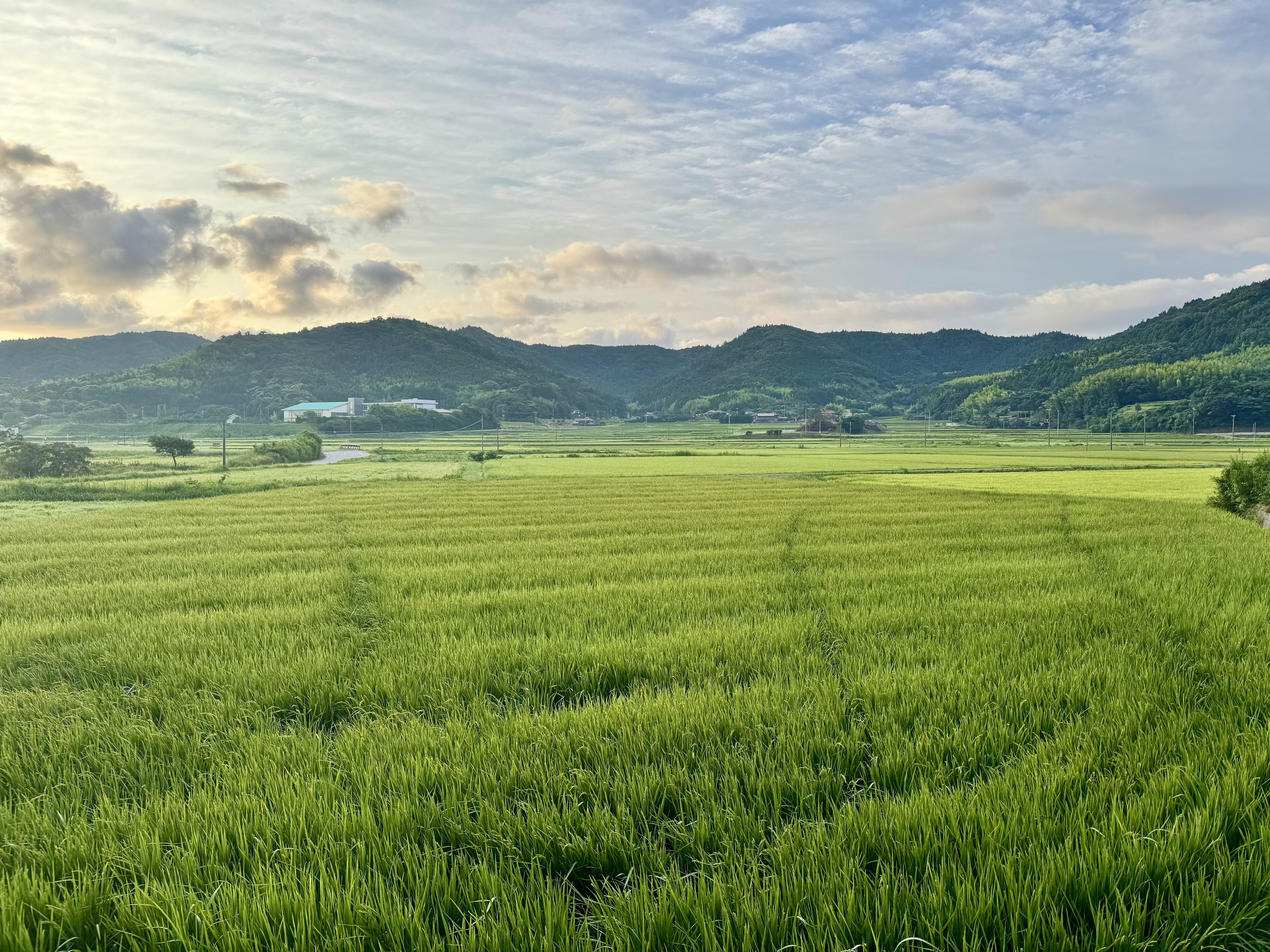 on⑹_【休日の朝.起きてすぐの景色】 朝6時の風景があまりにもきれいで｜大野佳祐 | KSK