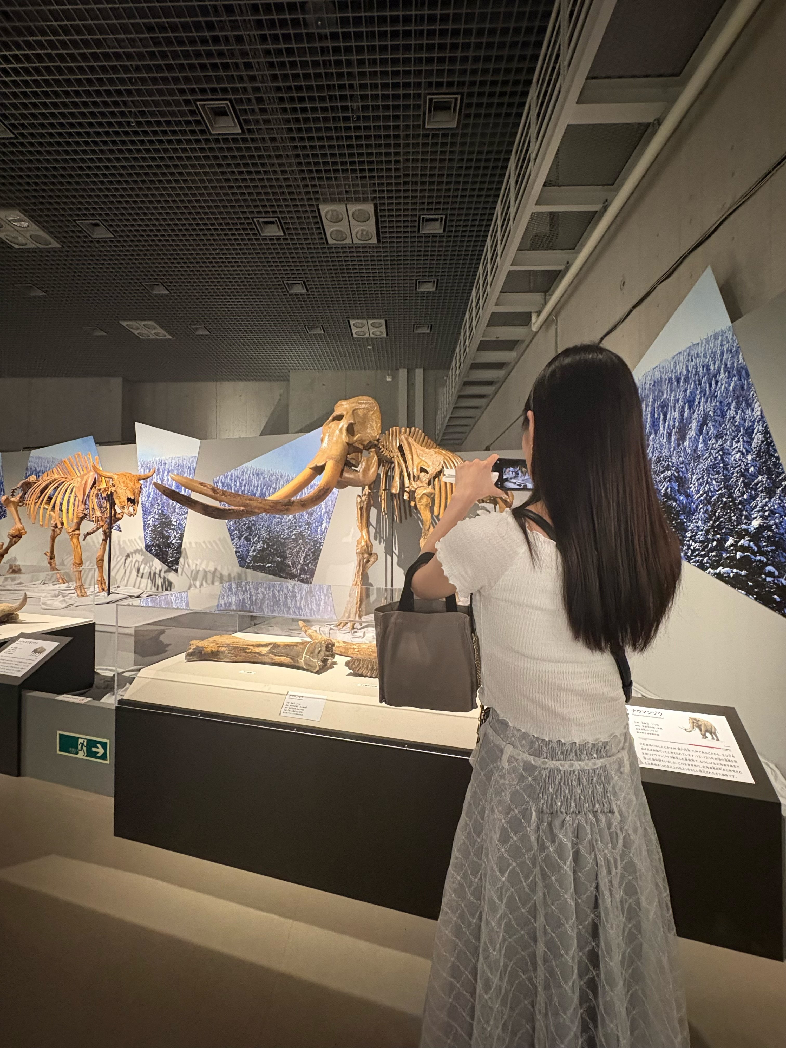 氷河期展でマンモスと向き合う🦣｜Amano Ryo