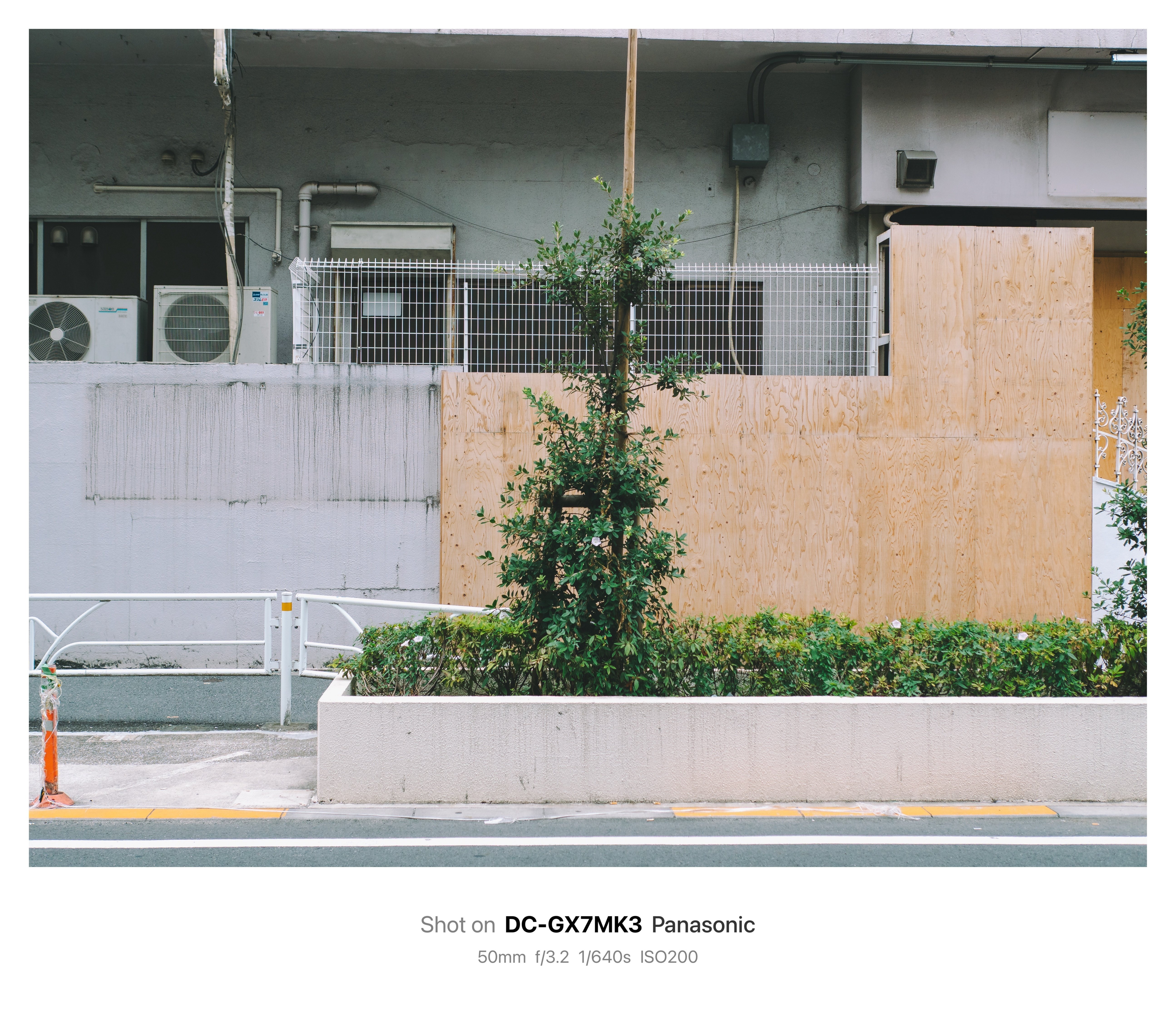 写真が撮れなきゃカメラじゃない！ スマホでは撮れない写真」を求めて。個性を尖らせたカメラ新製品