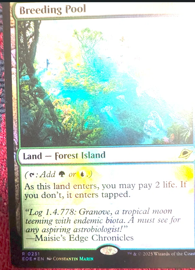 【完美品】寓話の小道　foil、非foilセット　英語版 久遠の終端コレブ1BOX開封】＜フラクチャーFOILを引いていく著者