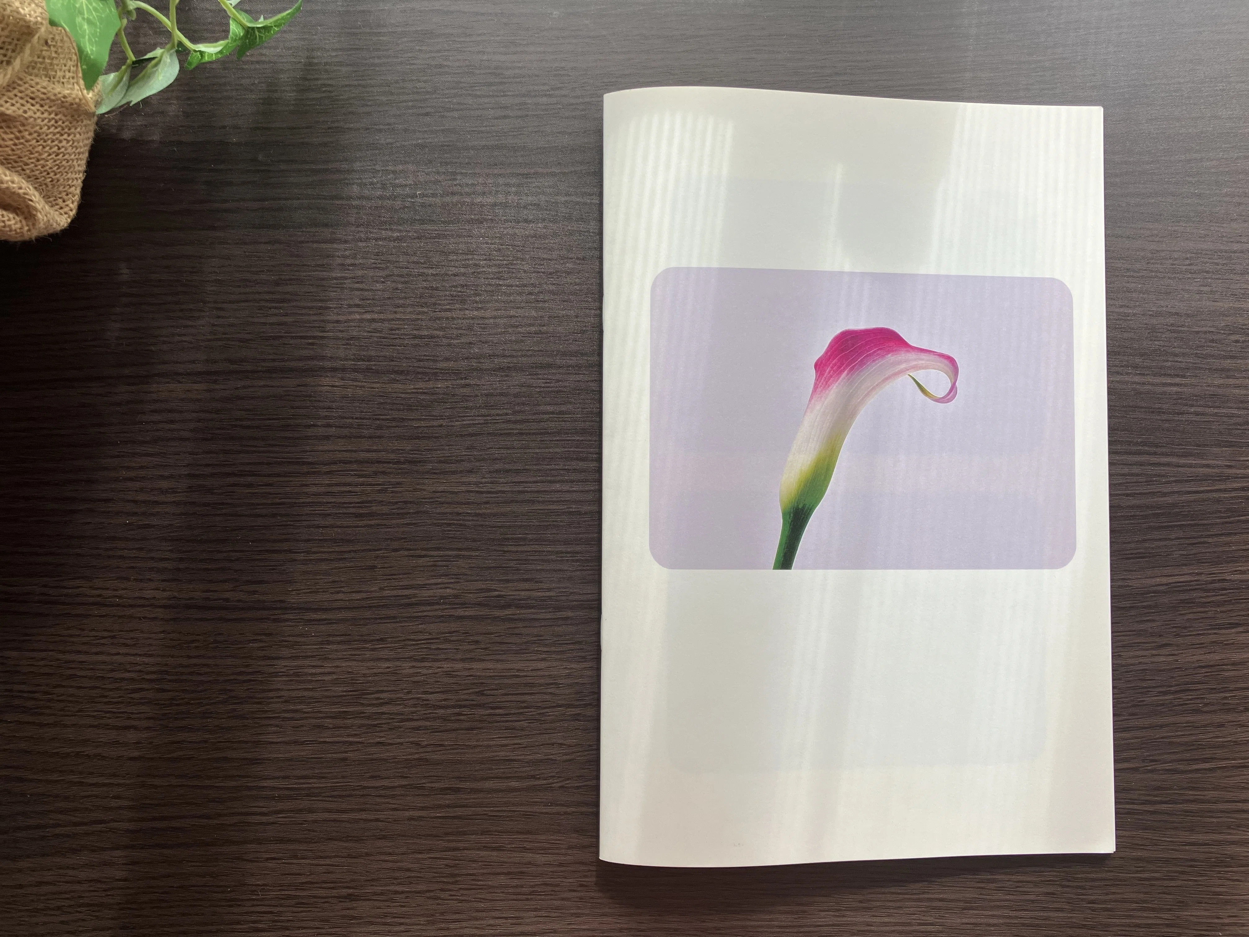 花の写真集（PhotoZINE）を作ってみた｜タキツネ | 花の写真を撮ります