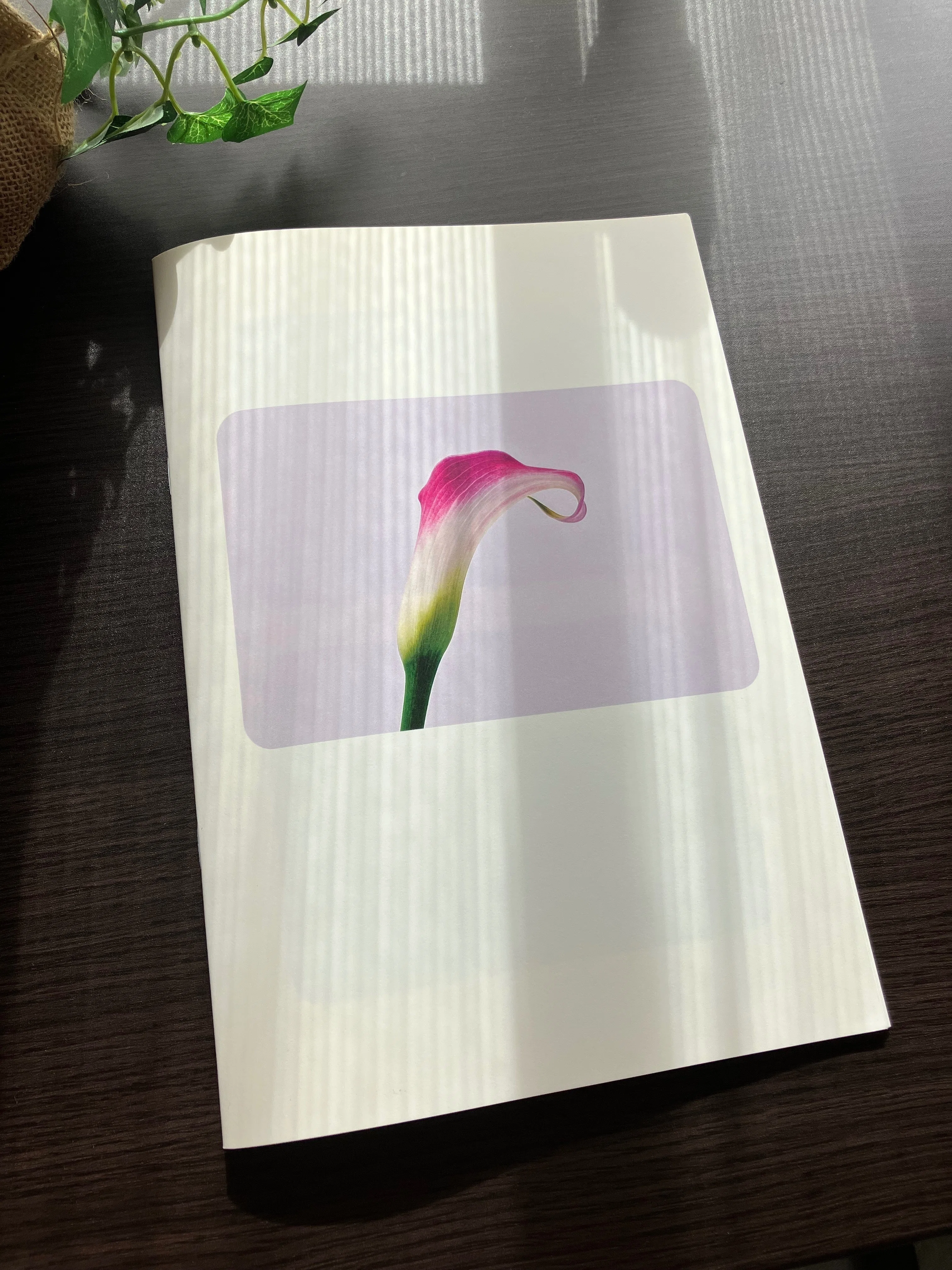 花の写真集（PhotoZINE）を作ってみた｜タキツネ | 花の写真を撮ります