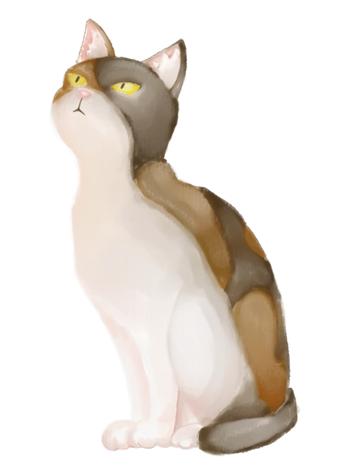 今日のフリーイラスト【上を見上げる三毛猫】｜【社会実験中】人と自然