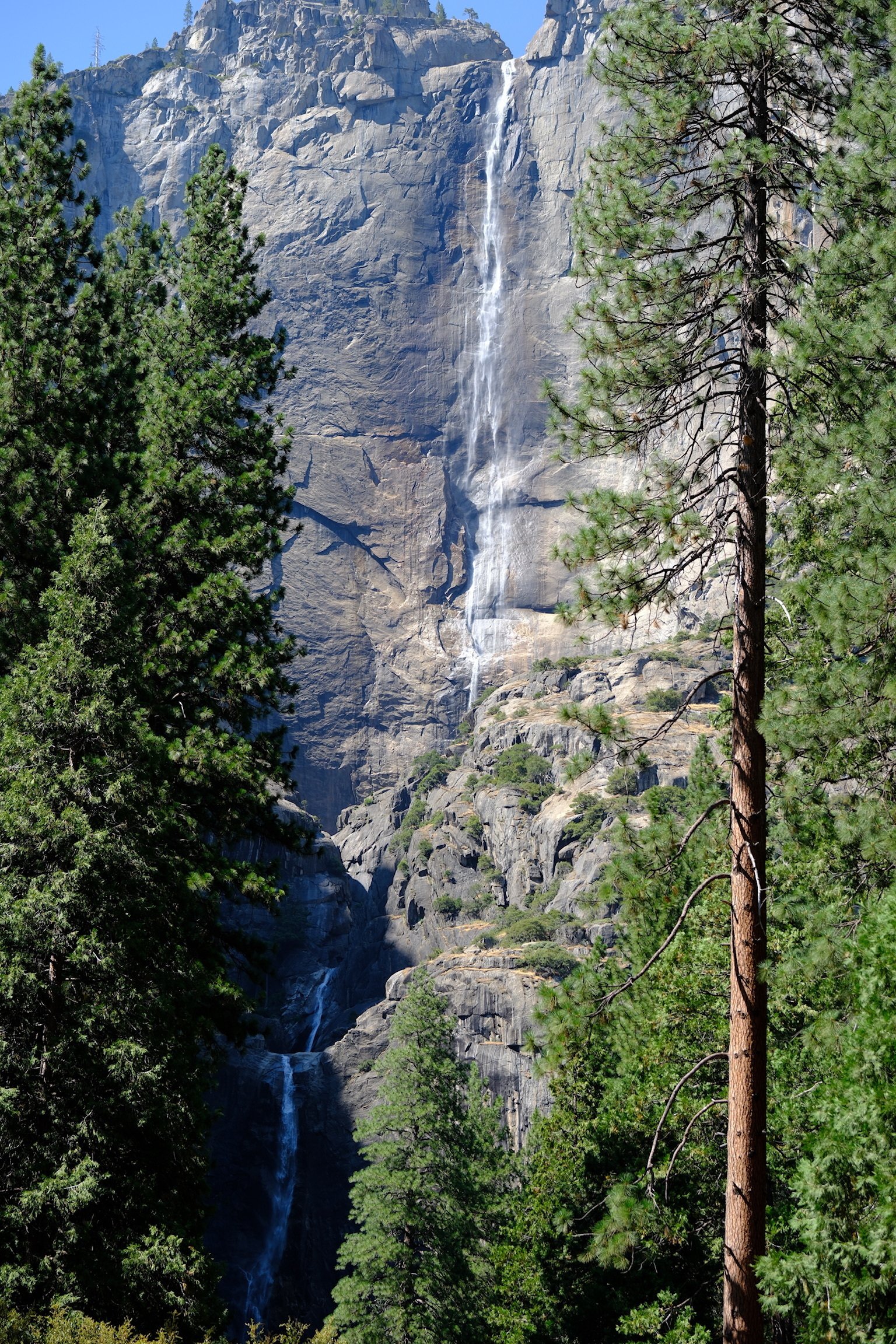1泊2日レポート】ヨセミテ国立公園に行ってきました【注意点など