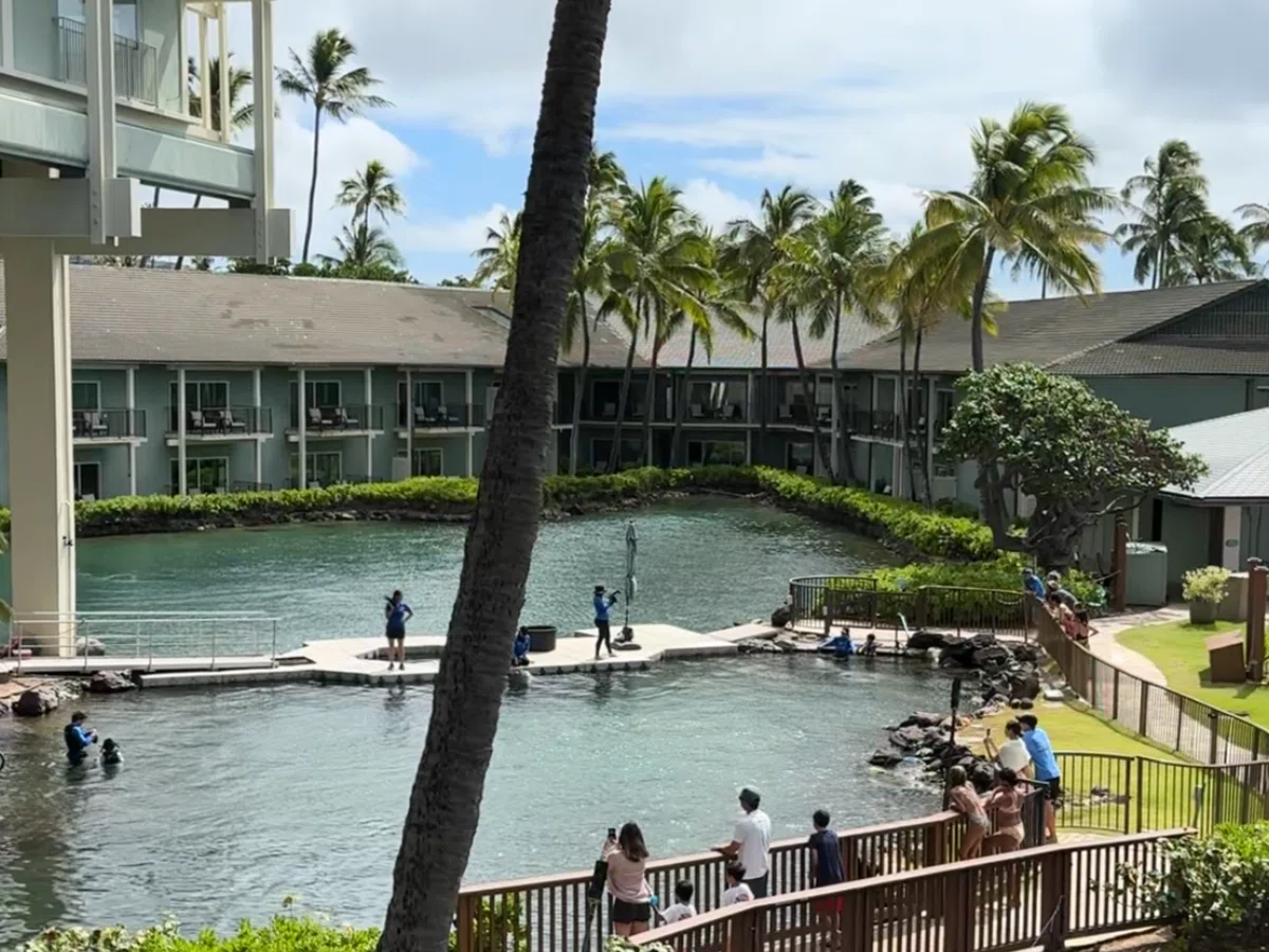 【3世代Hawaii】カハラホテルが3歳も大人も最高すぎて絶対また泊まりたい！｜emuko＠旅好きワーママ