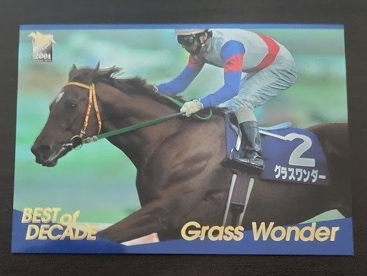 グラスワンダーの挑戦｜青乃家