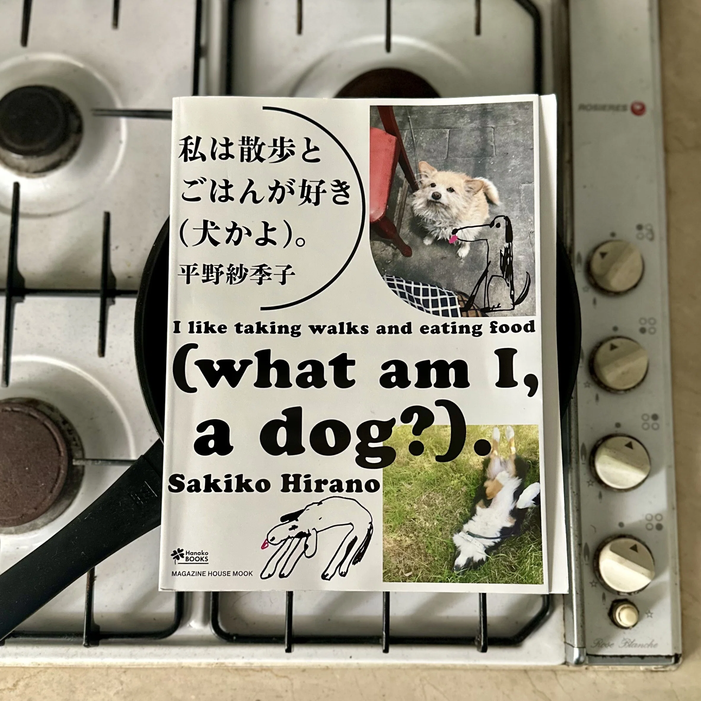 観光地じゃない旅へ：『私は散歩とごはんが好き(犬かよ)。』｜八木田一世
