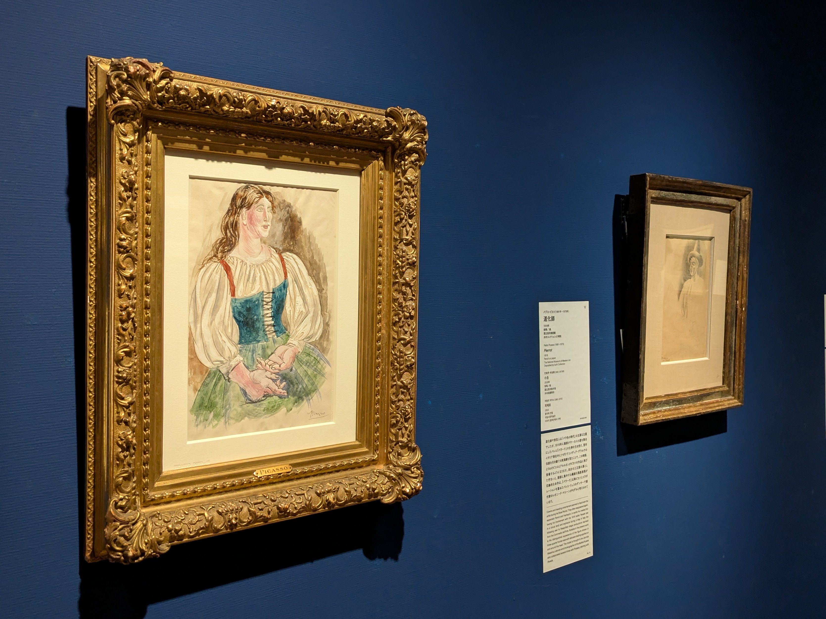 国立西洋美術館のピカソが大集合！ こんなに持ってたのね!?……ピカソの