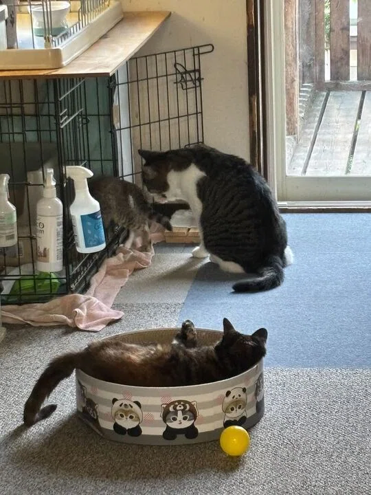 画像