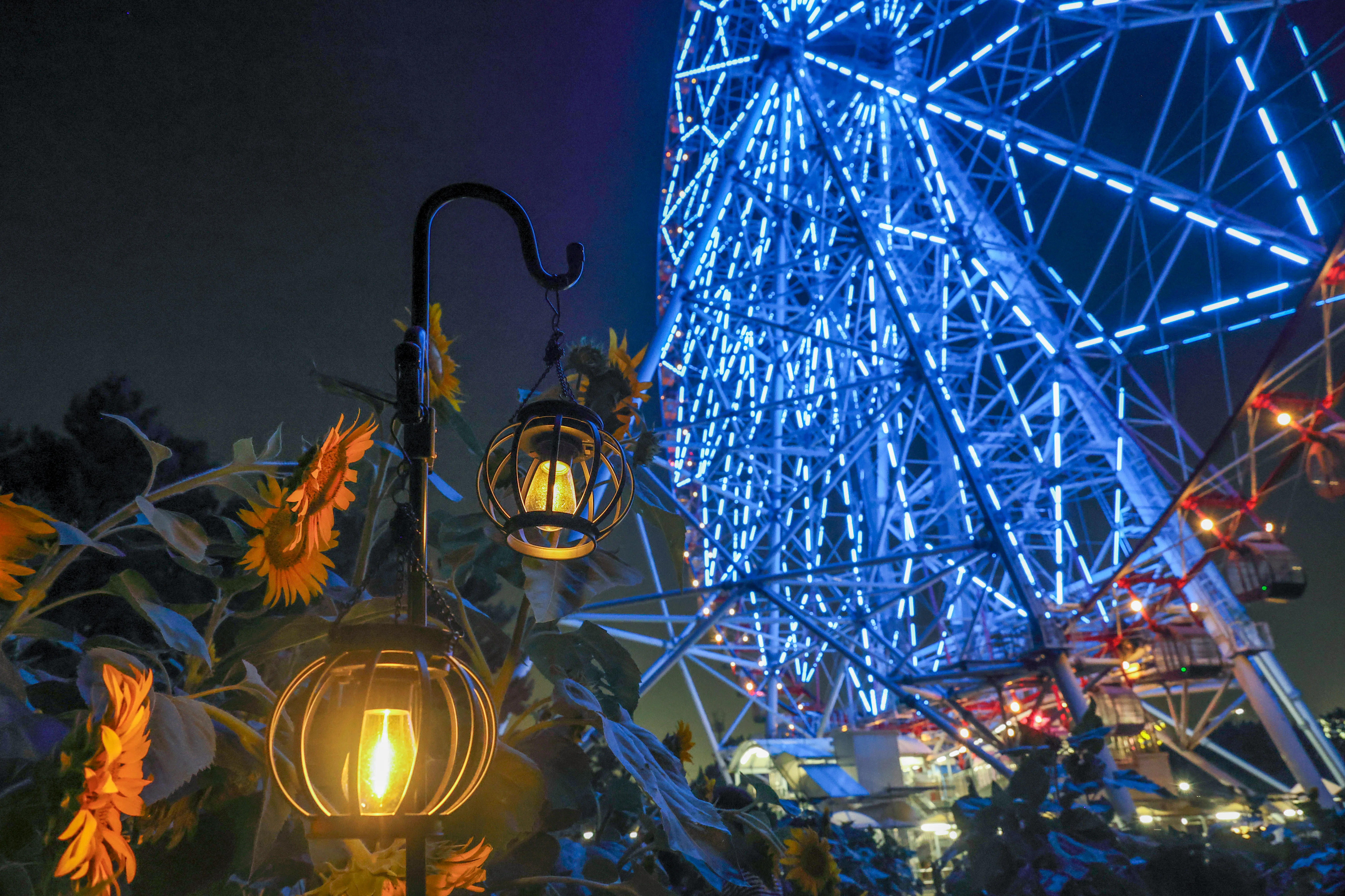 2025 花と光のムーブメント 葛西臨海公園｜Toru Shiratori