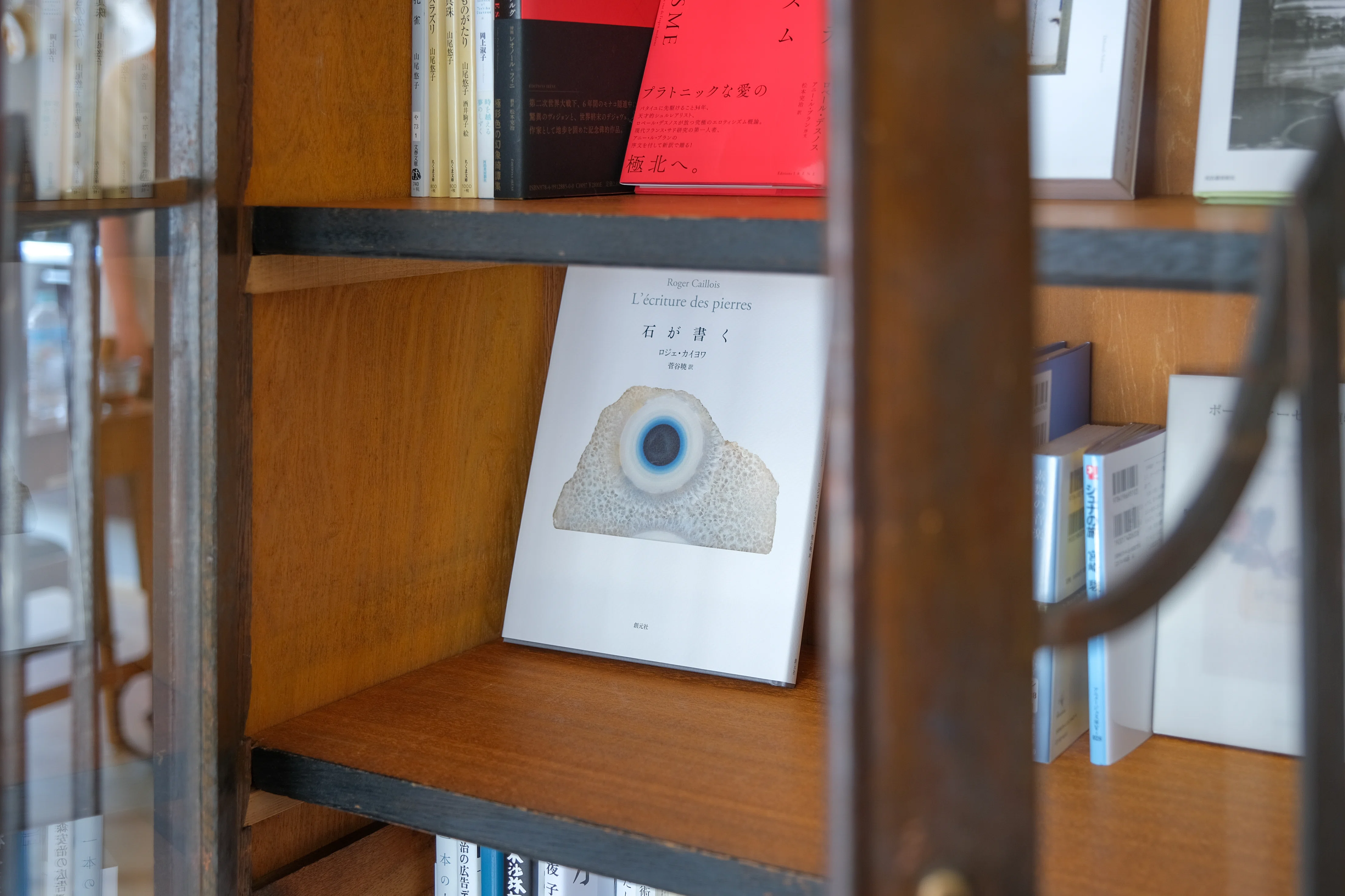 レポート】私設図書館『おざぶ書庫』の本棚づくり｜恵文社 | 本