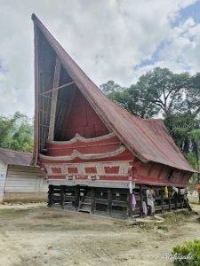 インドネシア・スマトラ島の幻のアンダリマン山椒｜Jamu