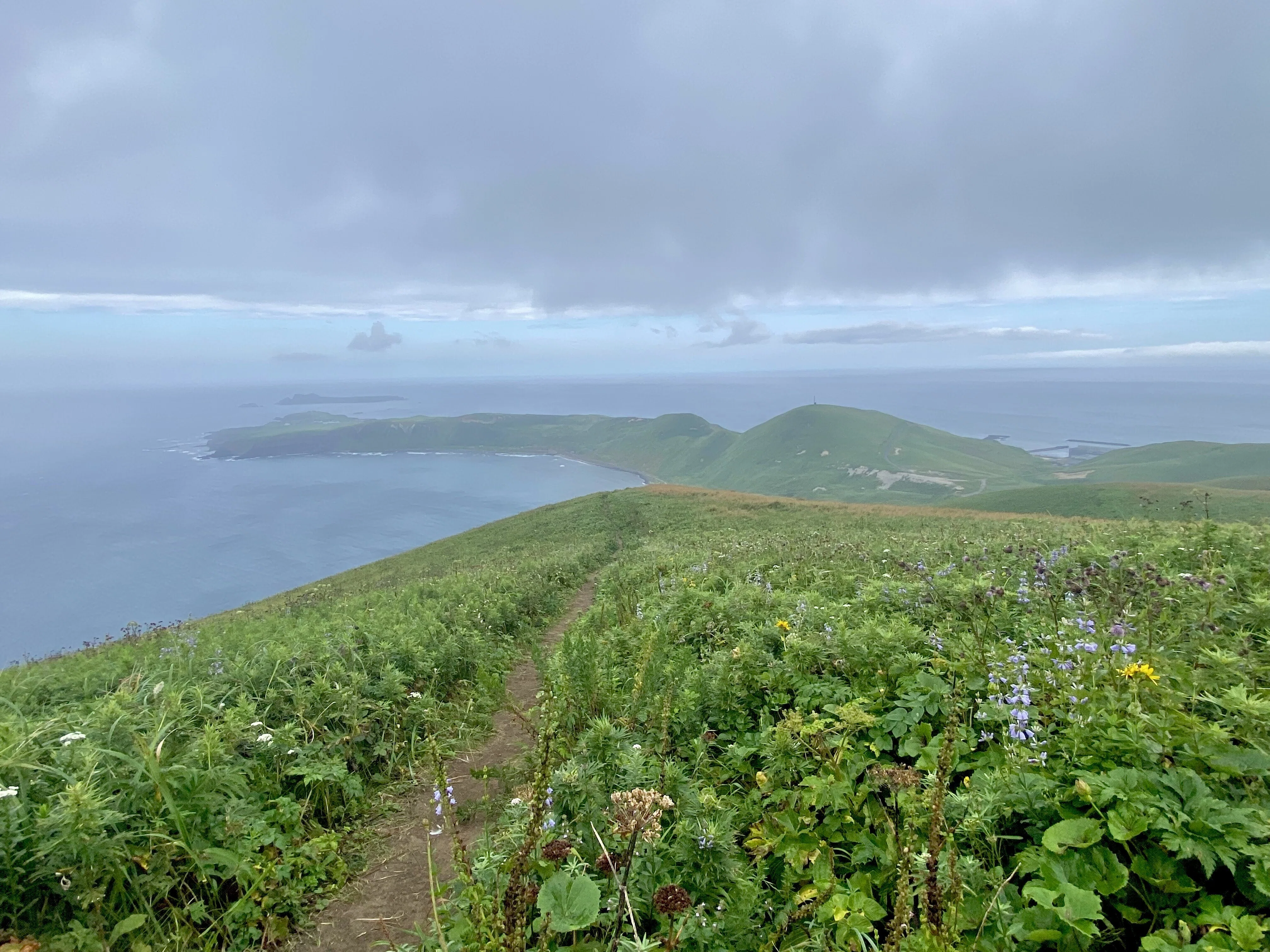 礼文島②｜小雨でも絶景トレッキング、高山植物を愛でる旅【離島めぐり