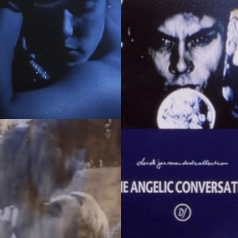 デレク・ジャーマン：フィルム・コレクション Vol.1 VHSビデオ Amazon.co.jp: デレク ジャーマン：フィルム コレクション Vol.1 VHS