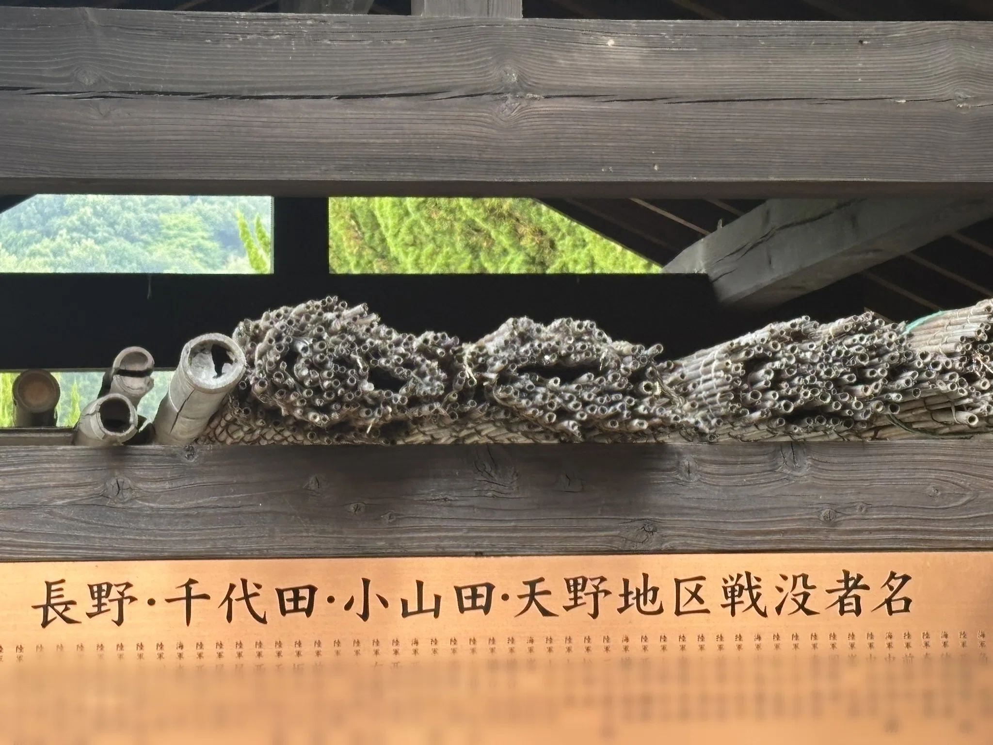 河内長野市】終戦の日だから知っておきたい。河内大仏の極楽寺霊園の大