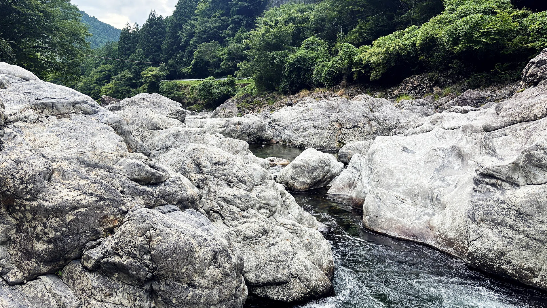 こんなに豚の味噌漬けっぽい石があるのに、世界は気づかない｜永山ちか