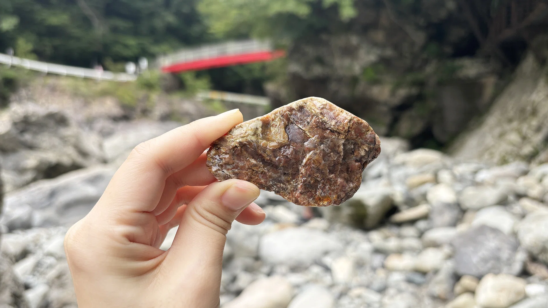 こんなに豚の味噌漬けっぽい石があるのに、世界は気づかない｜永山ちか