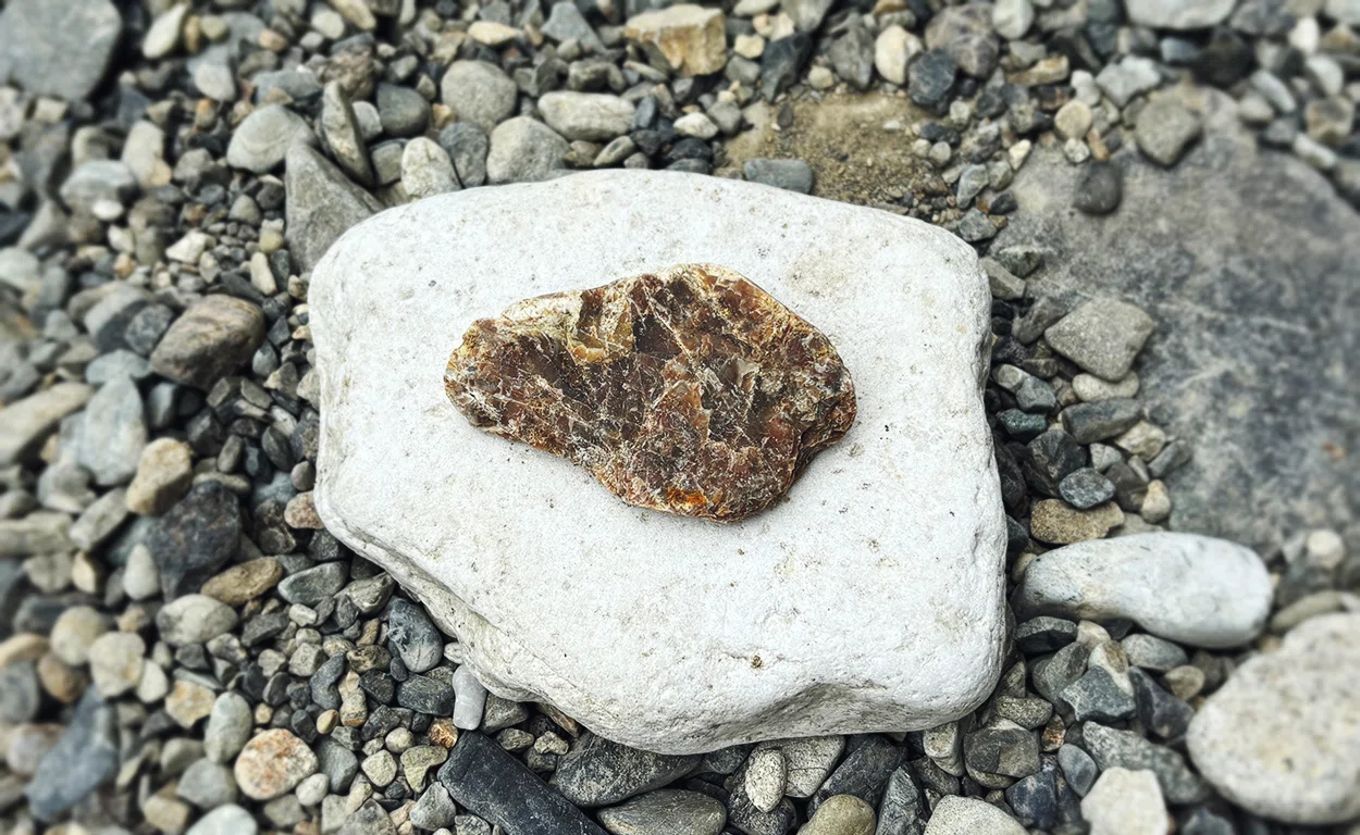 こんなに豚の味噌漬けっぽい石があるのに、世界は気づかない｜永山ちか
