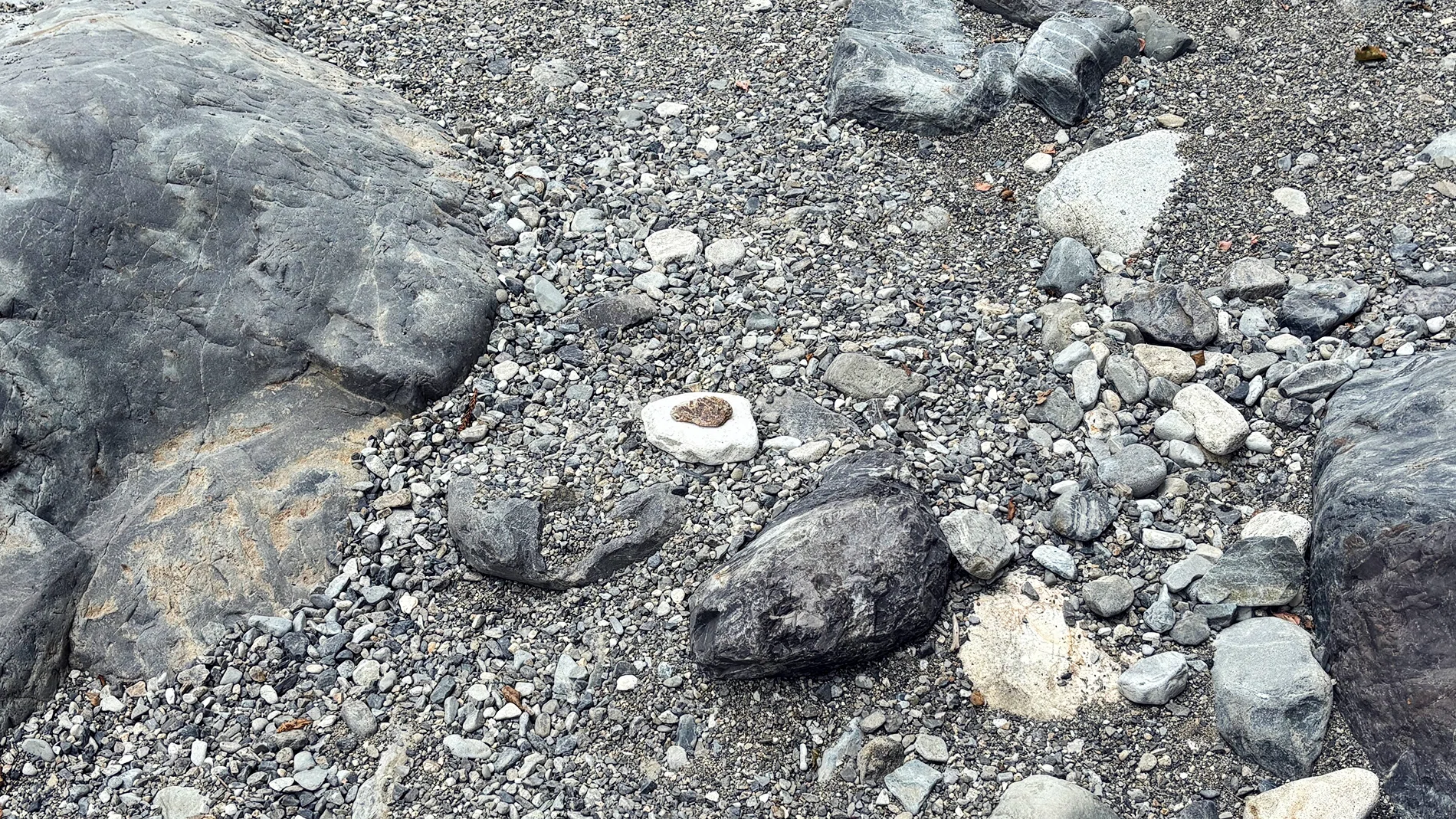 こんなに豚の味噌漬けっぽい石があるのに、世界は気づかない｜永山ちか
