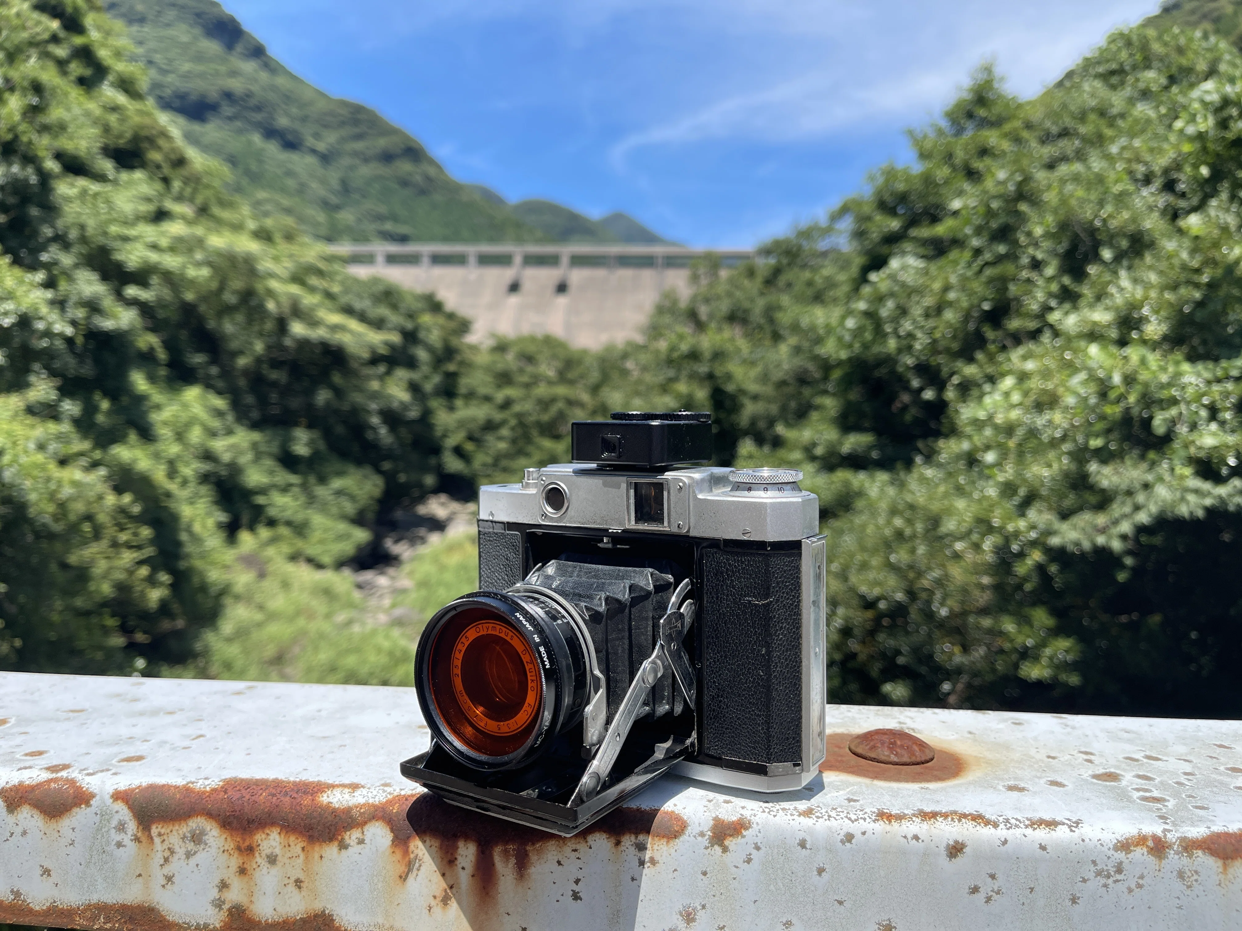 Mamiya6で6x4.5フォーマット｜怪力熊男