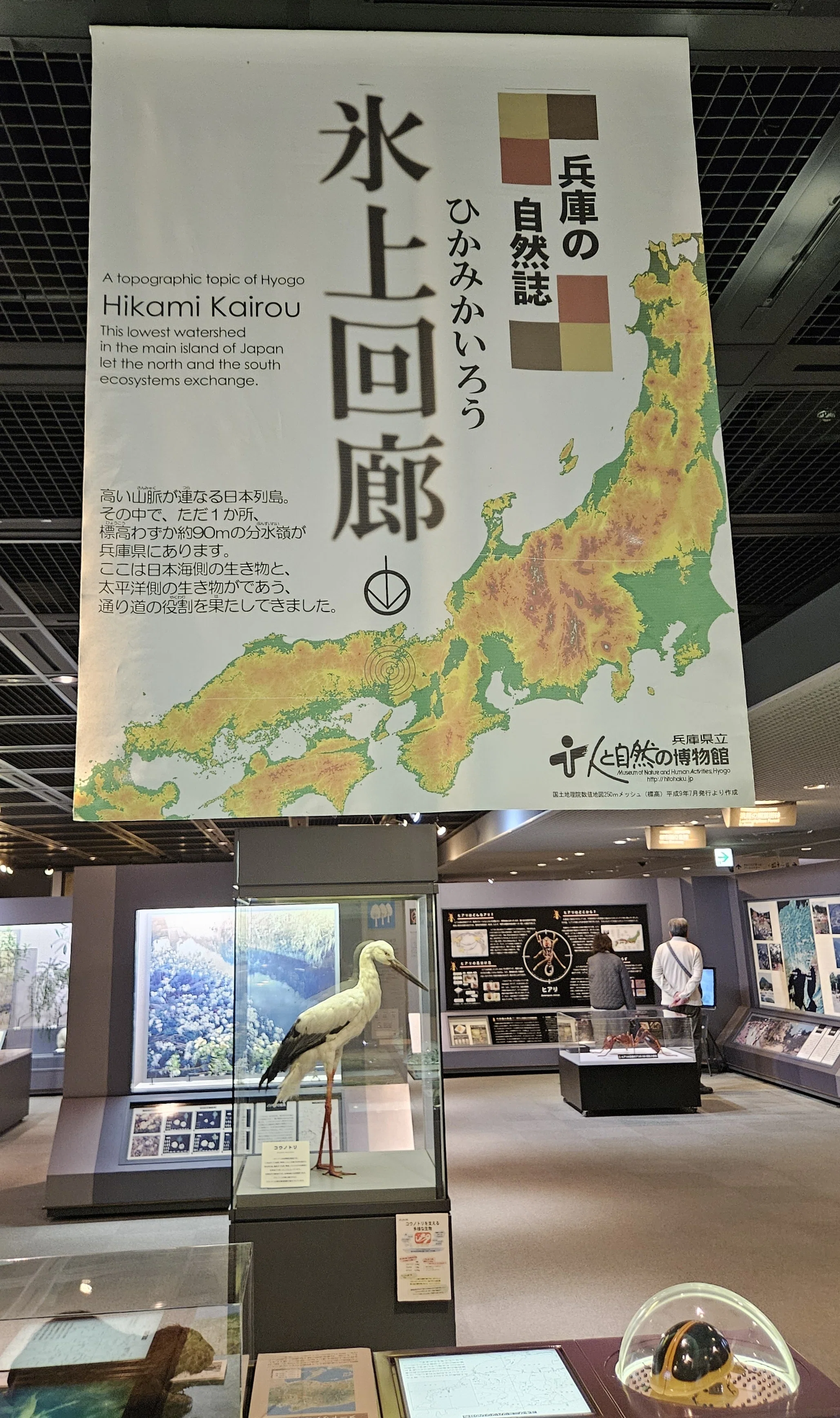 全国自然博物館の旅【66】兵庫県立人と自然の博物館｜美原さつき