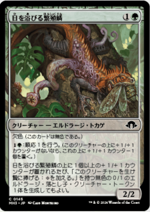 mtg モダン　デッキ　パーツ　繁殖鱗コンボ MTG】モダン「繁殖鱗コンボ」| MOパンダのわくわく放送BM出張版