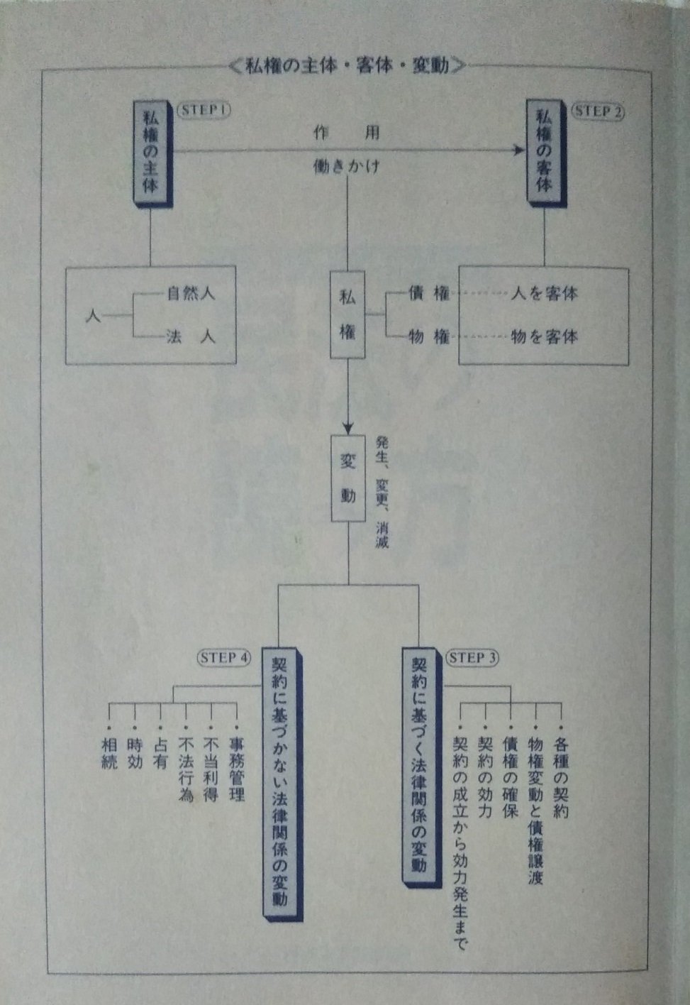 書評）第71回「民法の入門書3選」☆ビギナーが民法を学習する