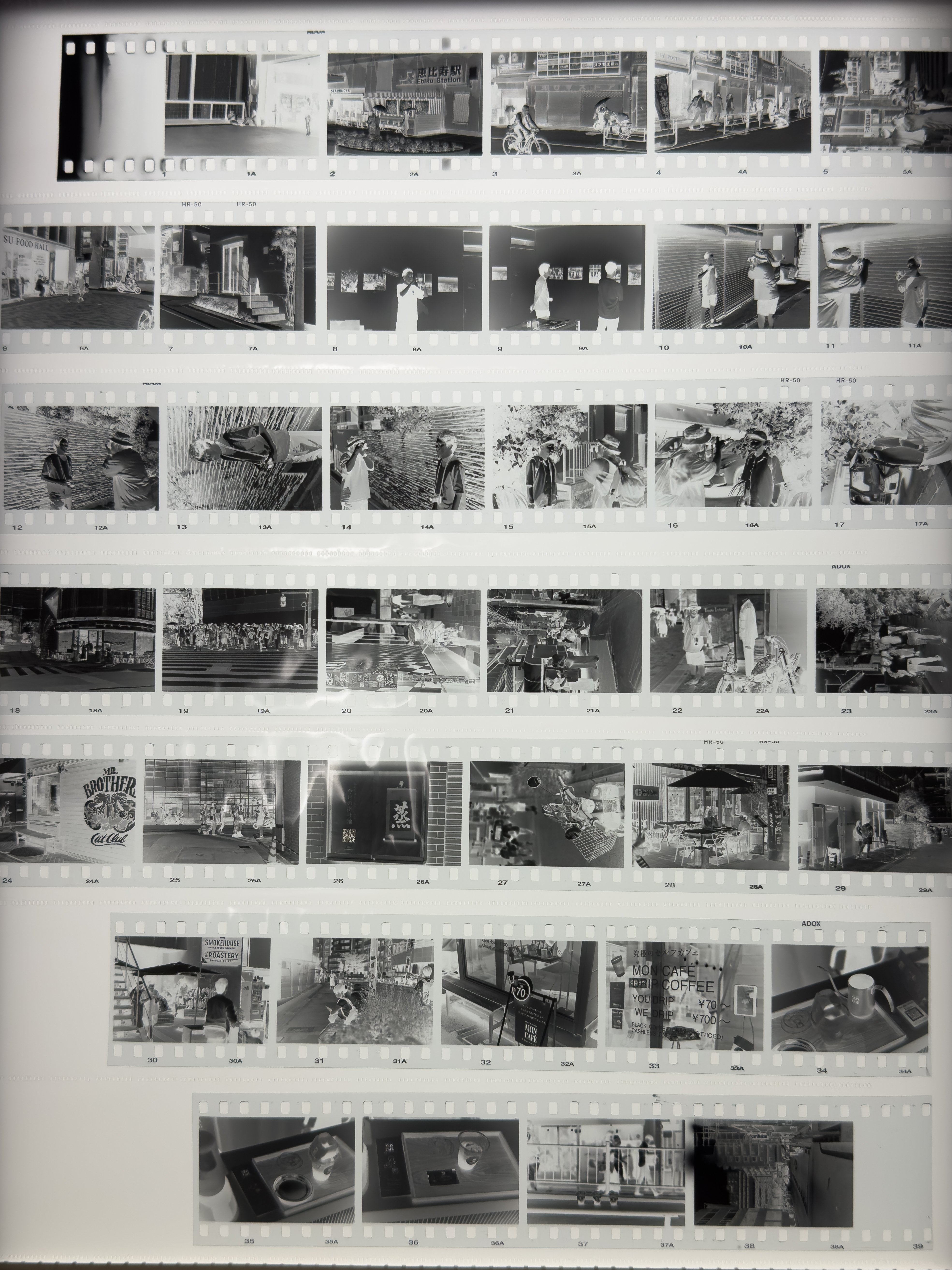 Leica M4-P×ADOX HR50_(Leica MONOPAN50???)｜と ご り ん