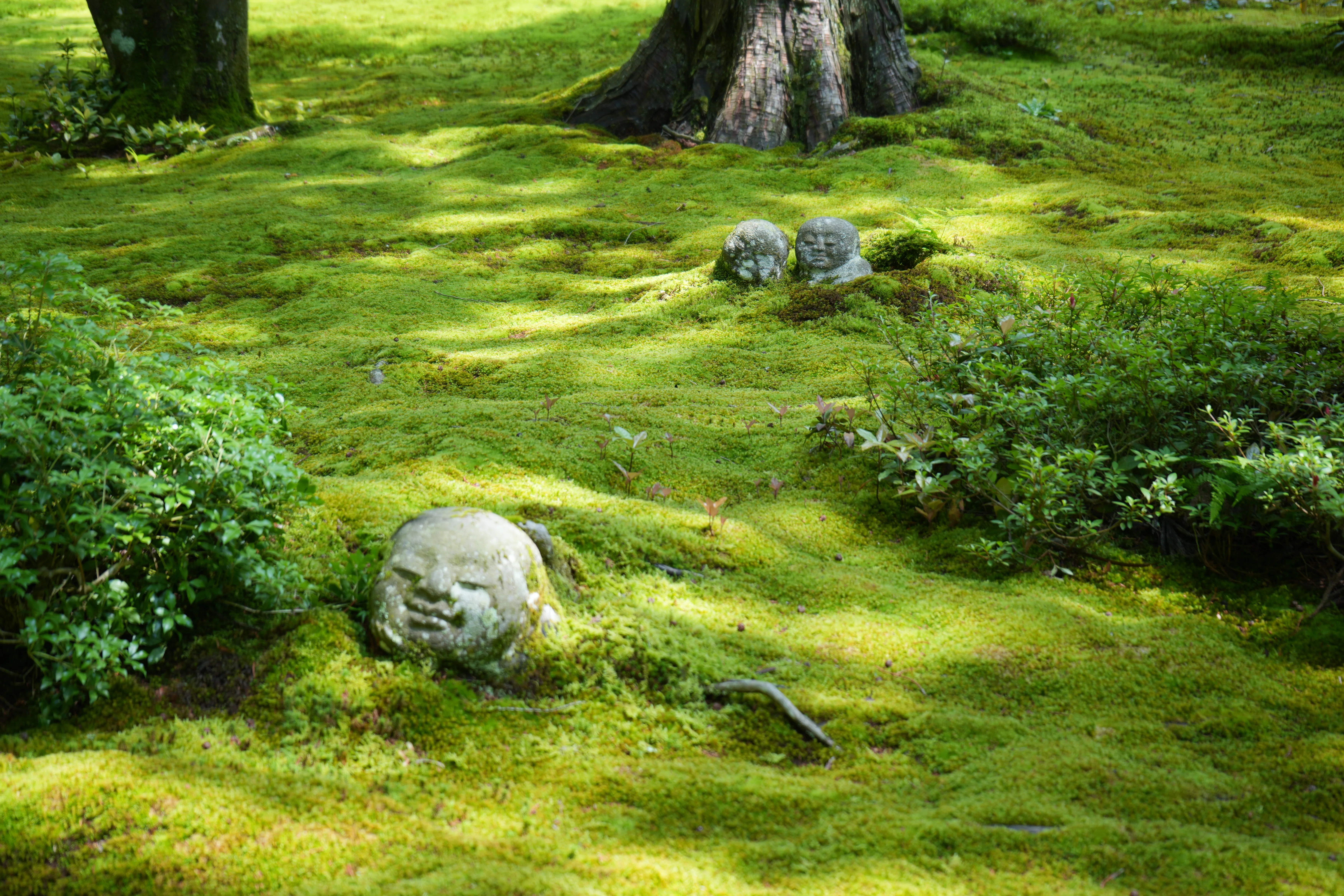 杉村孝のわらべ地蔵石像フォトブック