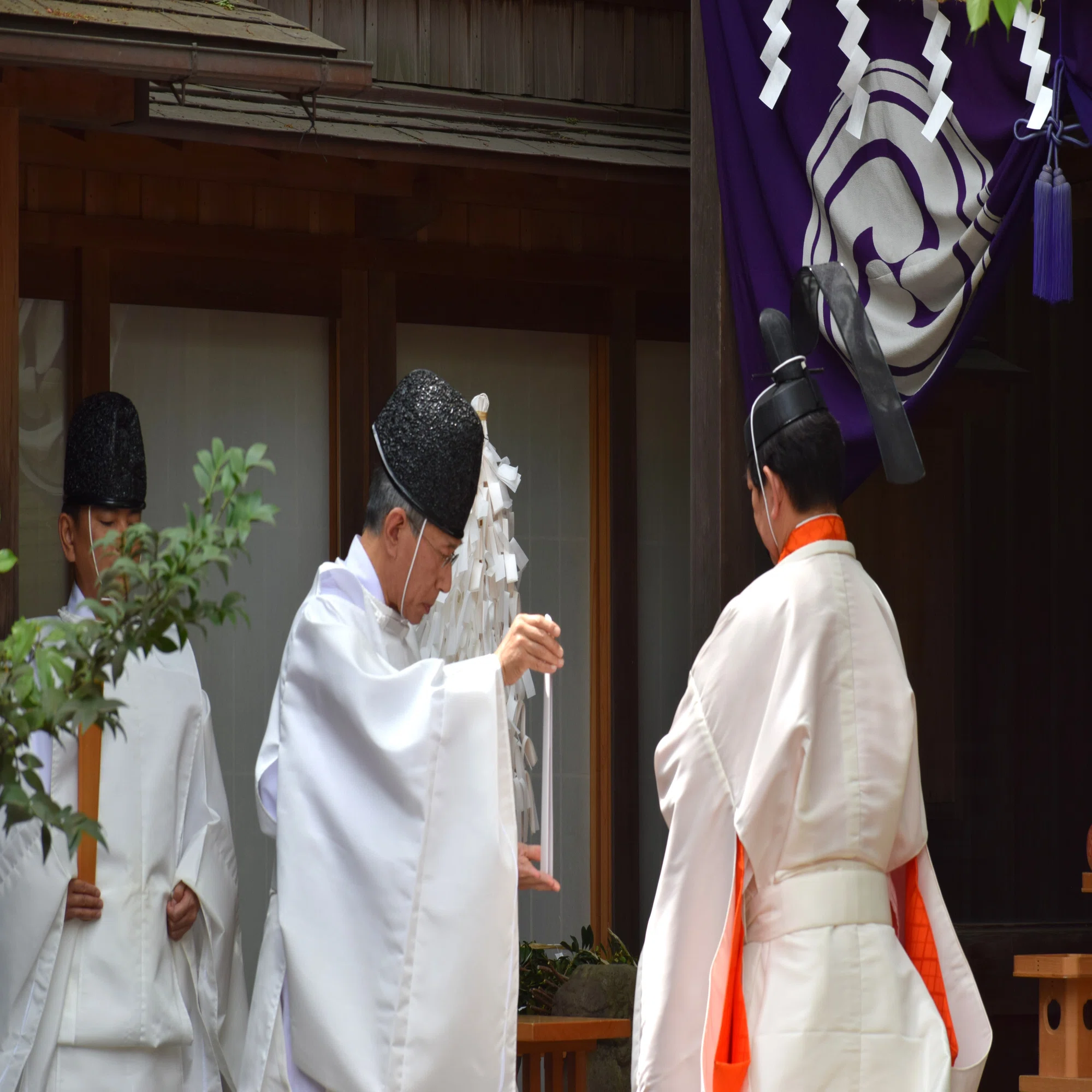 四季の彩りを楽しむ－装束－｜川越氷川神社
