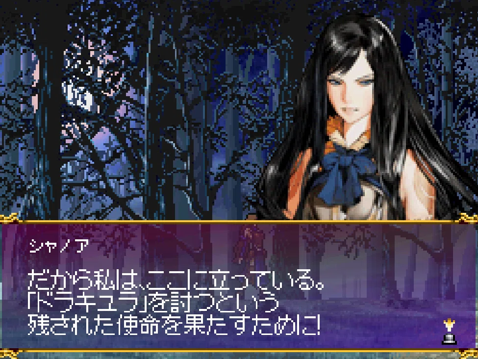 悪魔城ドラキュラ　奪われた刻印　シャノア　クリアポスター（購入特典・非売品） 悪魔城ドラキュラ 奪われた刻印の攻略 後編｜若林しぐれ