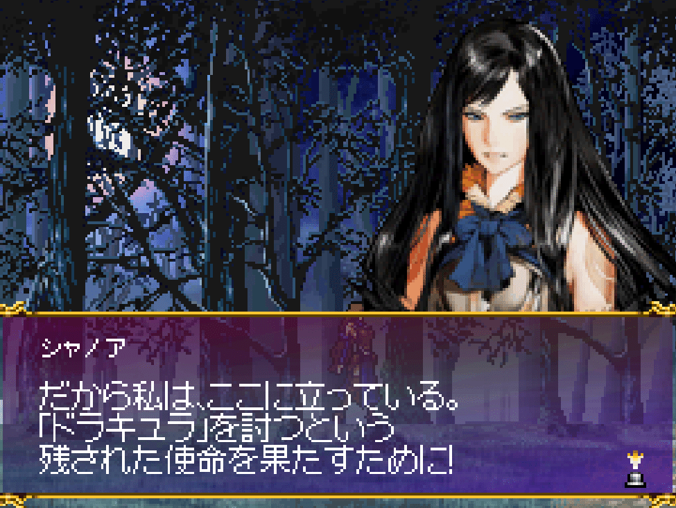 悪魔城ドラキュラ 奪われた刻印　ゲームソフト＆攻略本セット クリアデータ残存 悪魔城ドラキュラ 奪われた刻印 ゲームソフト＆攻略本セット