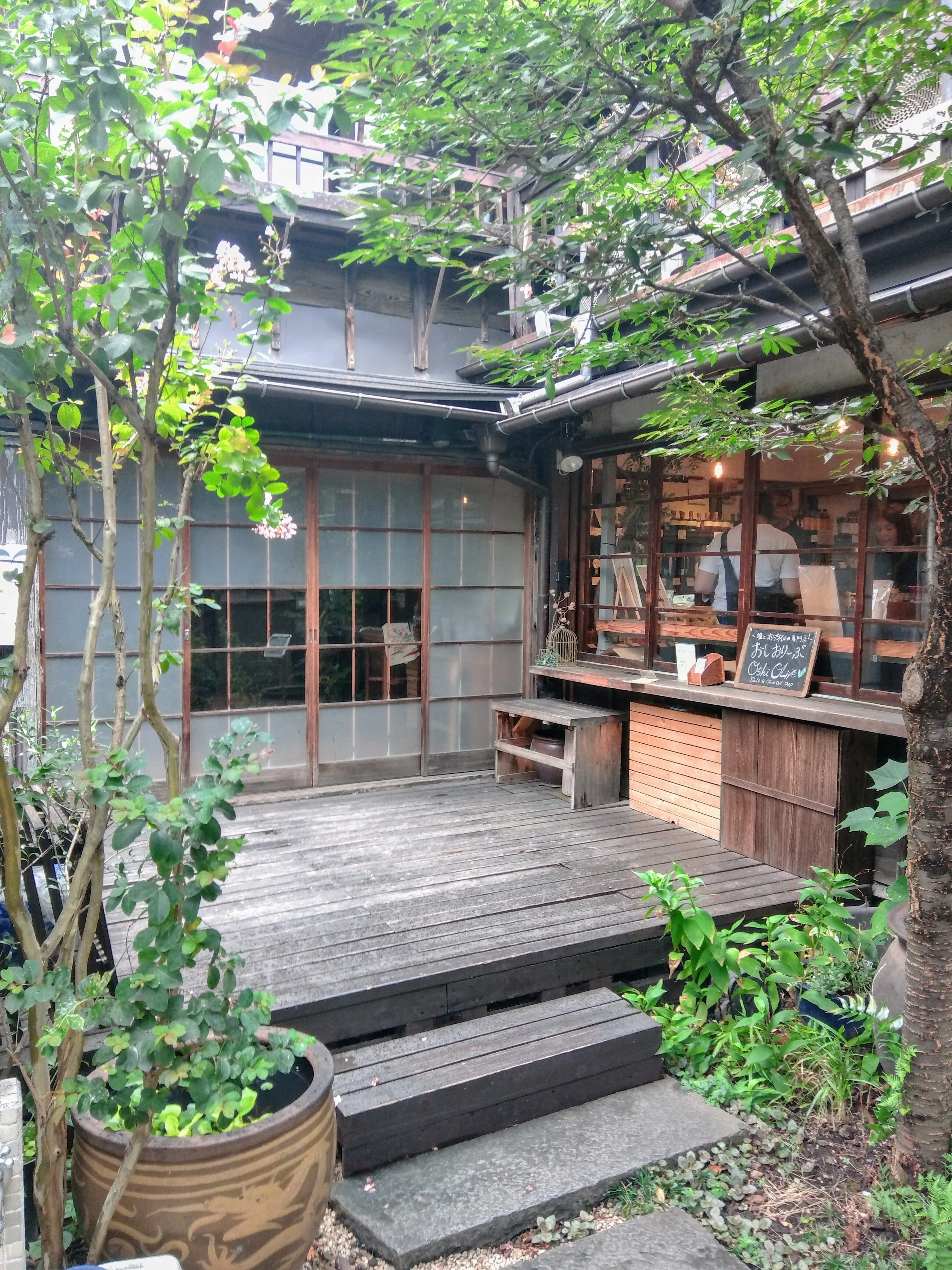 昭和レトロの庭を楽しむ。「上野桜木あたり」。｜niwa_emon