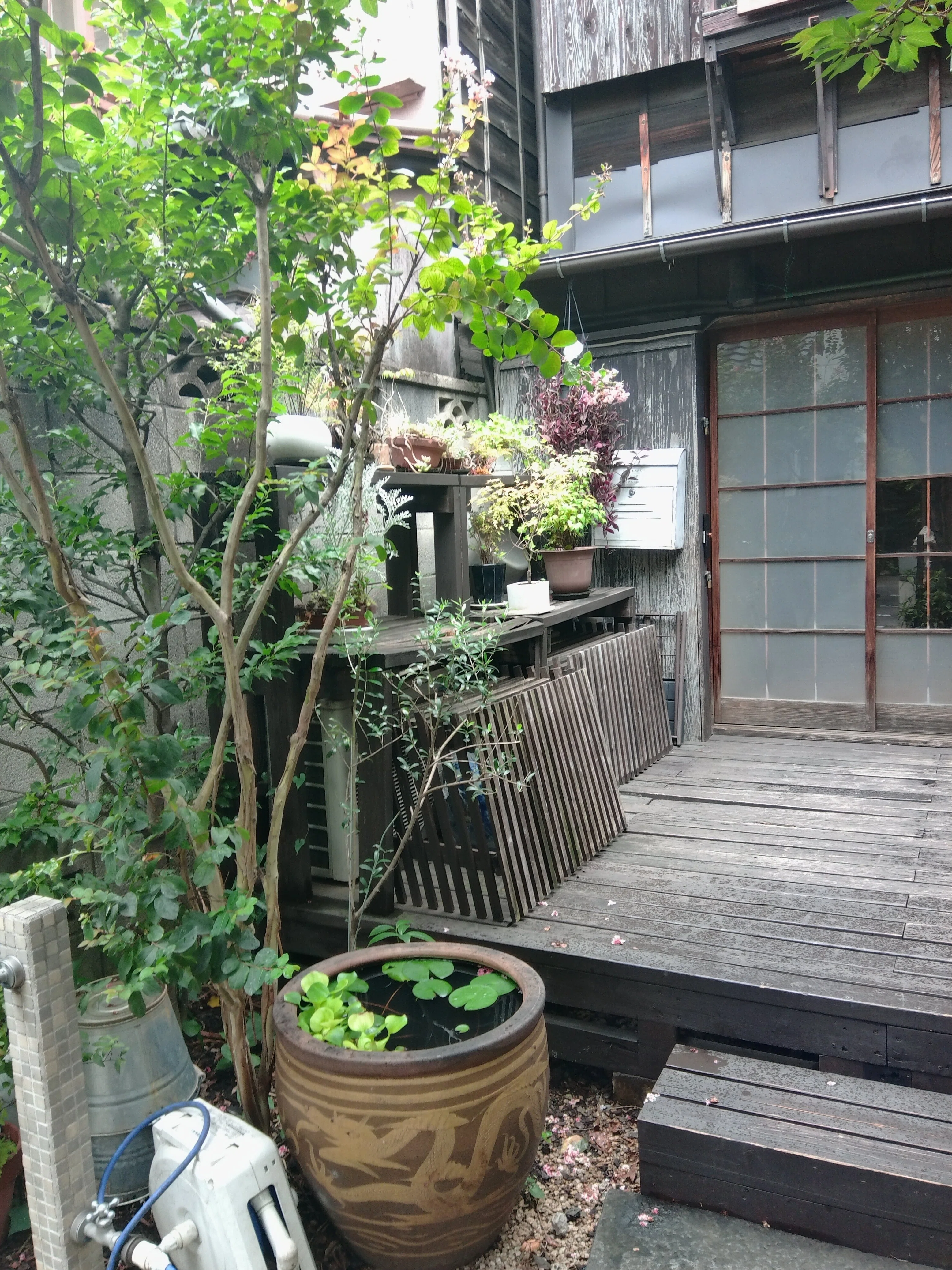 昭和レトロの庭を楽しむ。「上野桜木あたり」。｜niwa_emon