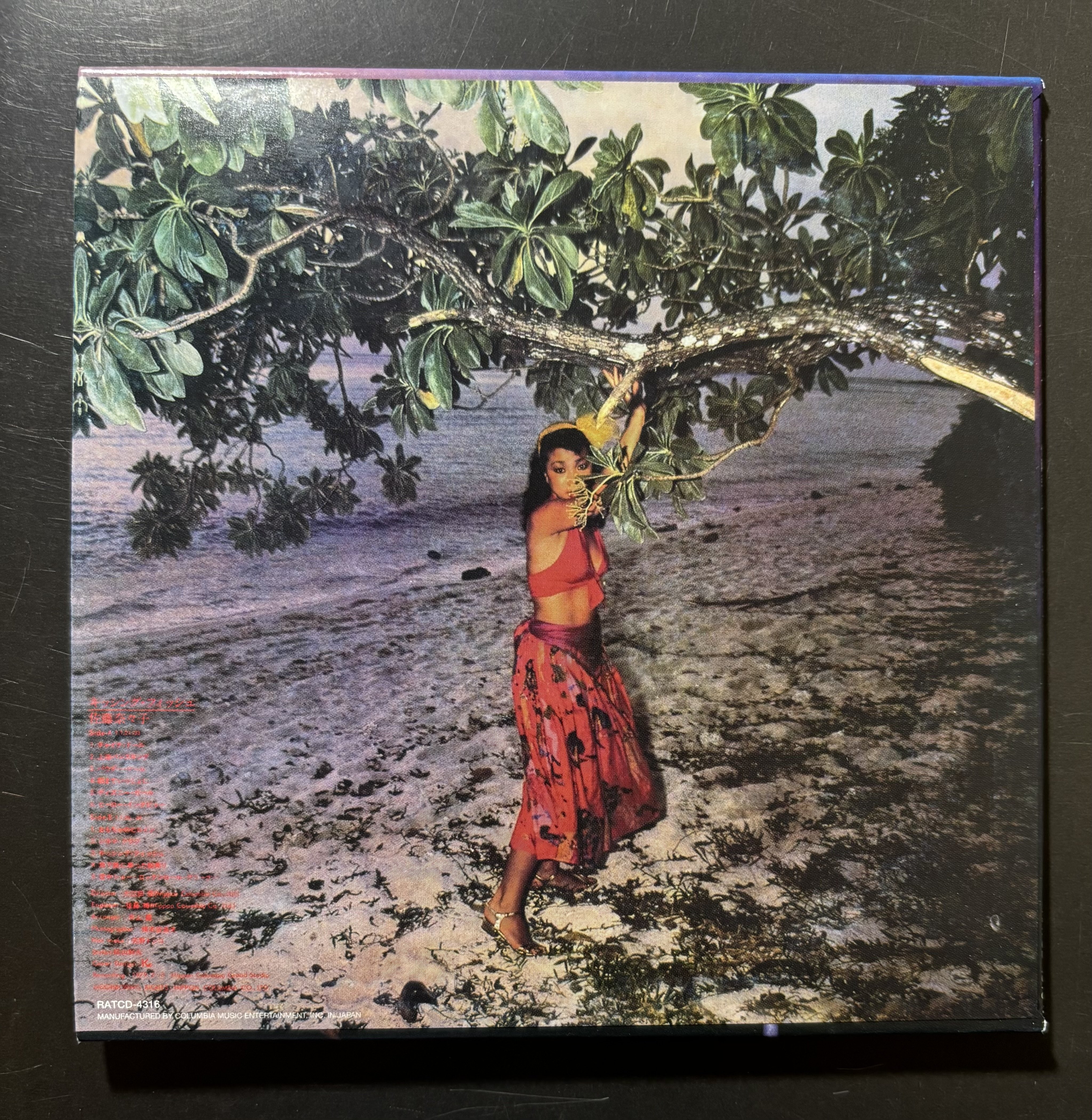 EARLY TIMES OF MOTOHARU VOL.2 佐藤奈々子 佐野元春｜bluebeat