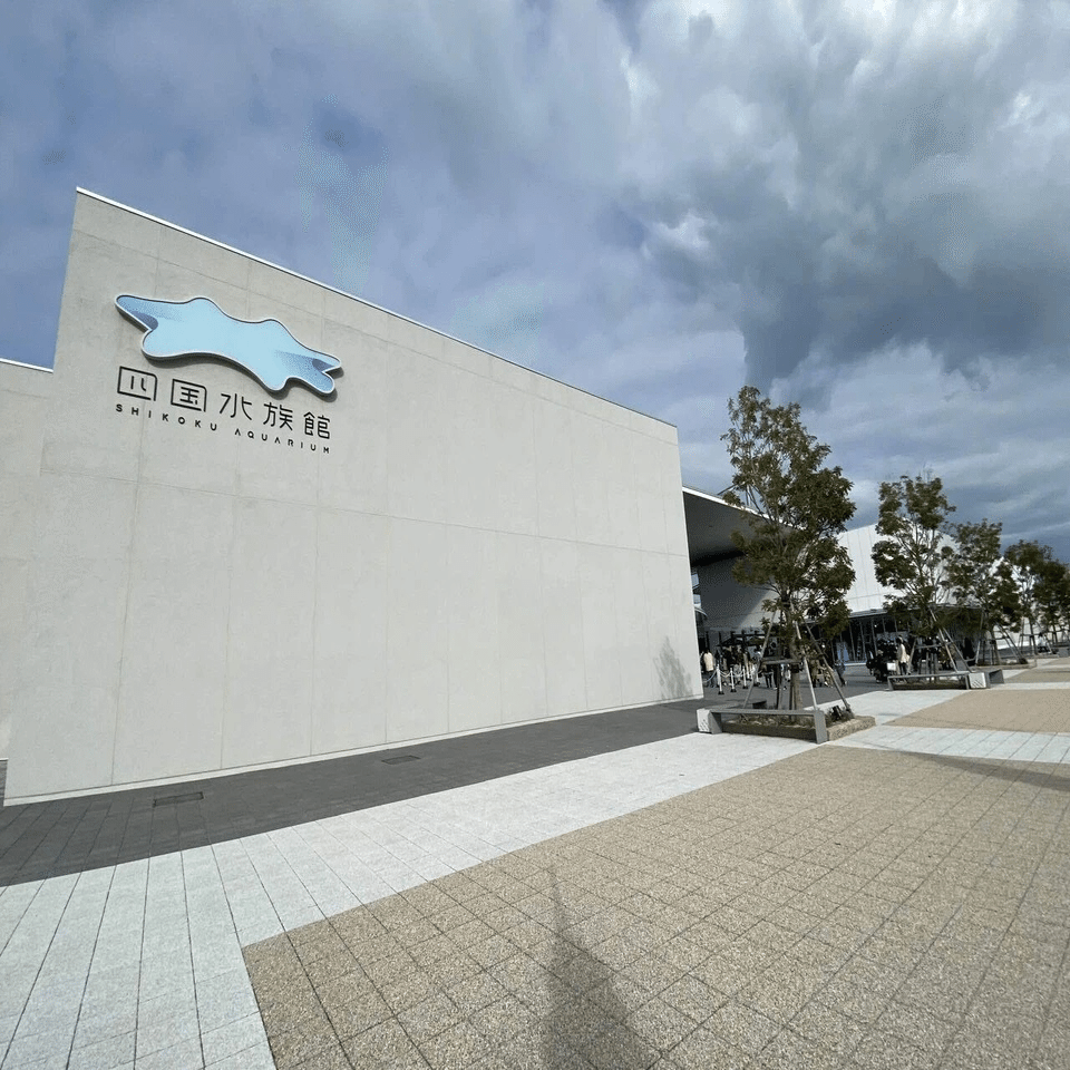 604 四国水族館でしばしの涼を感じる｜ミヤコカエデ（Miyako Kaede)