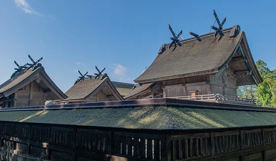 日本建築第10回|神社建築の見方入門(構成と比例)|働く身体をアップデート。ランチタイムで読む健康戦略