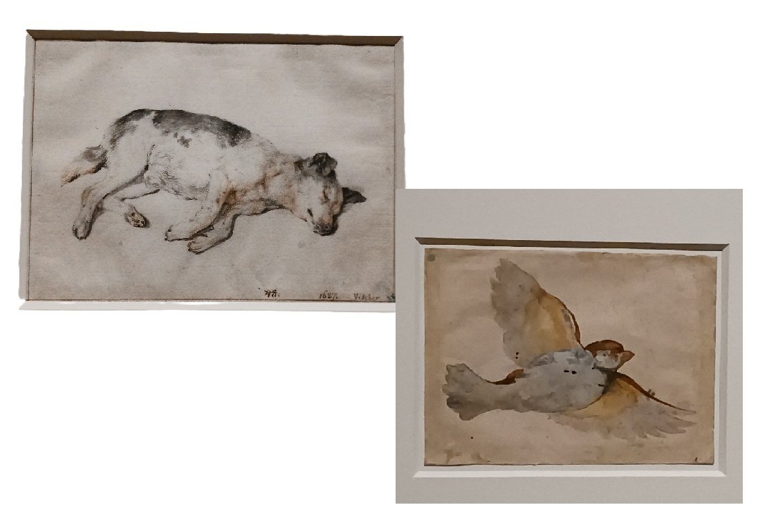 スウェーデン国立美術館 素描コレクション展―ルネサンスからバロック