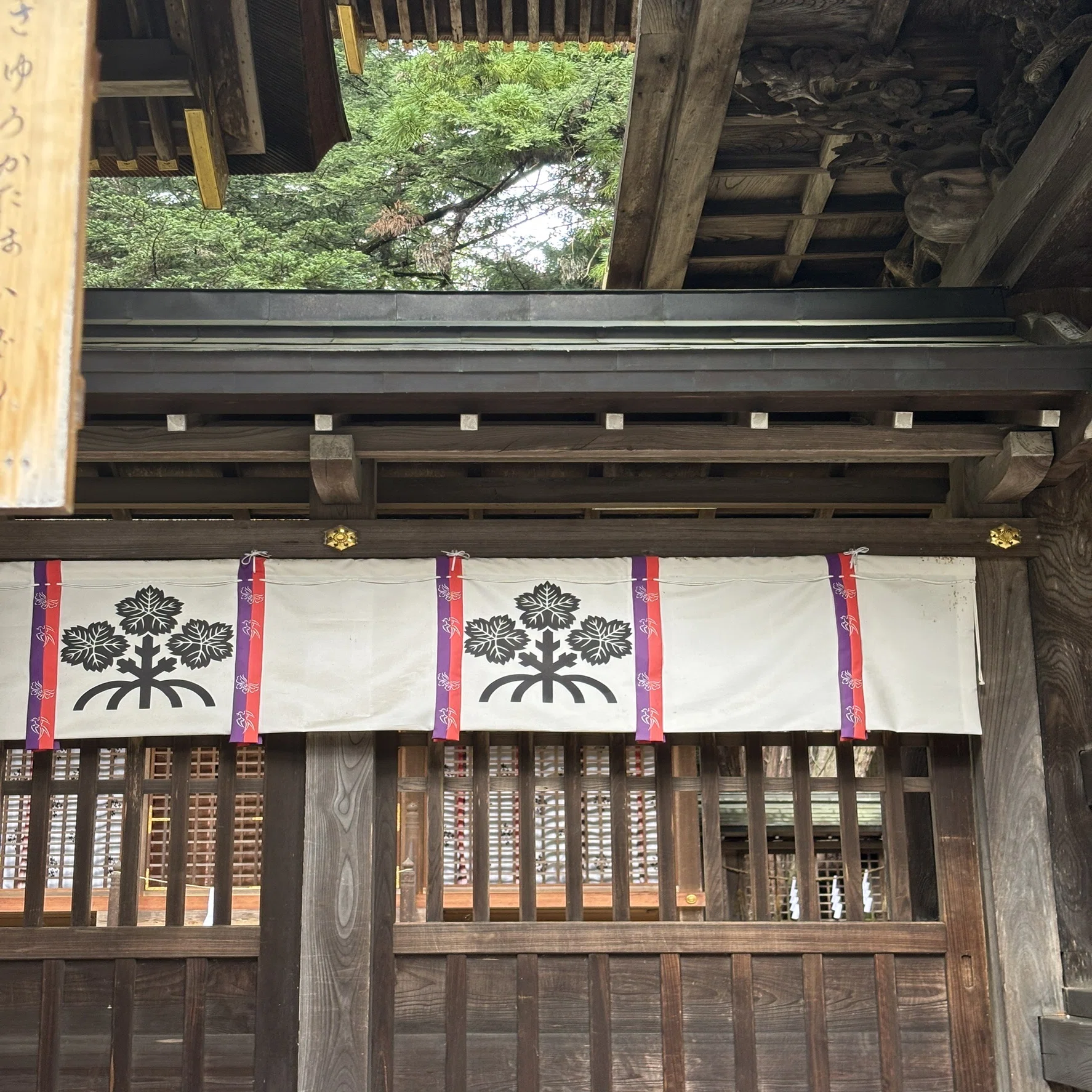 旅行】諏訪に行ってきました！｜はる