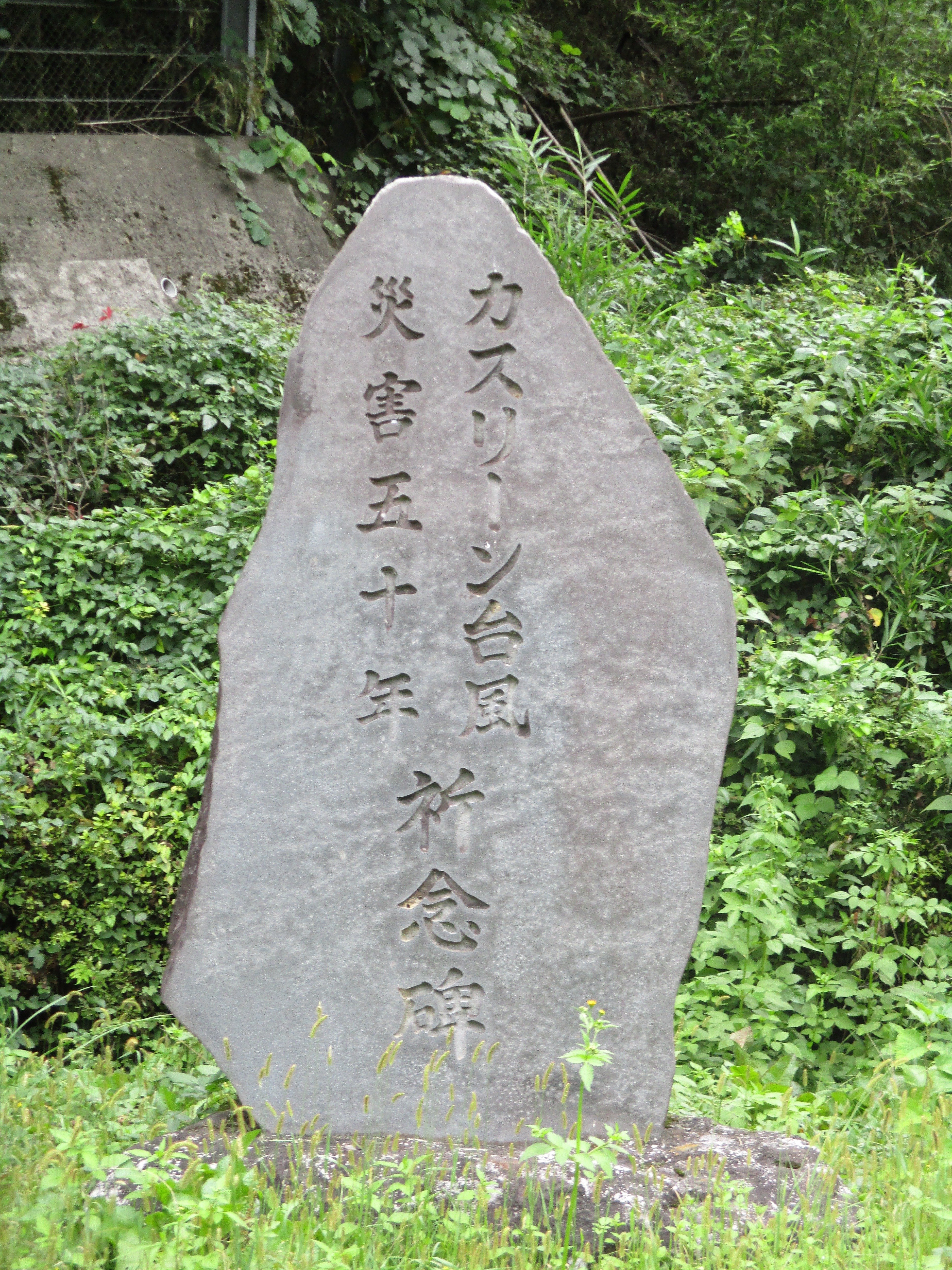 洪水、天ニ漫ツ : カスリーン台風の豪雨・関東平野をのみ込む（サイン本） 中古】 洪水、天ニ漫ツ カスリーン台風の豪雨・関東平野をのみ込む