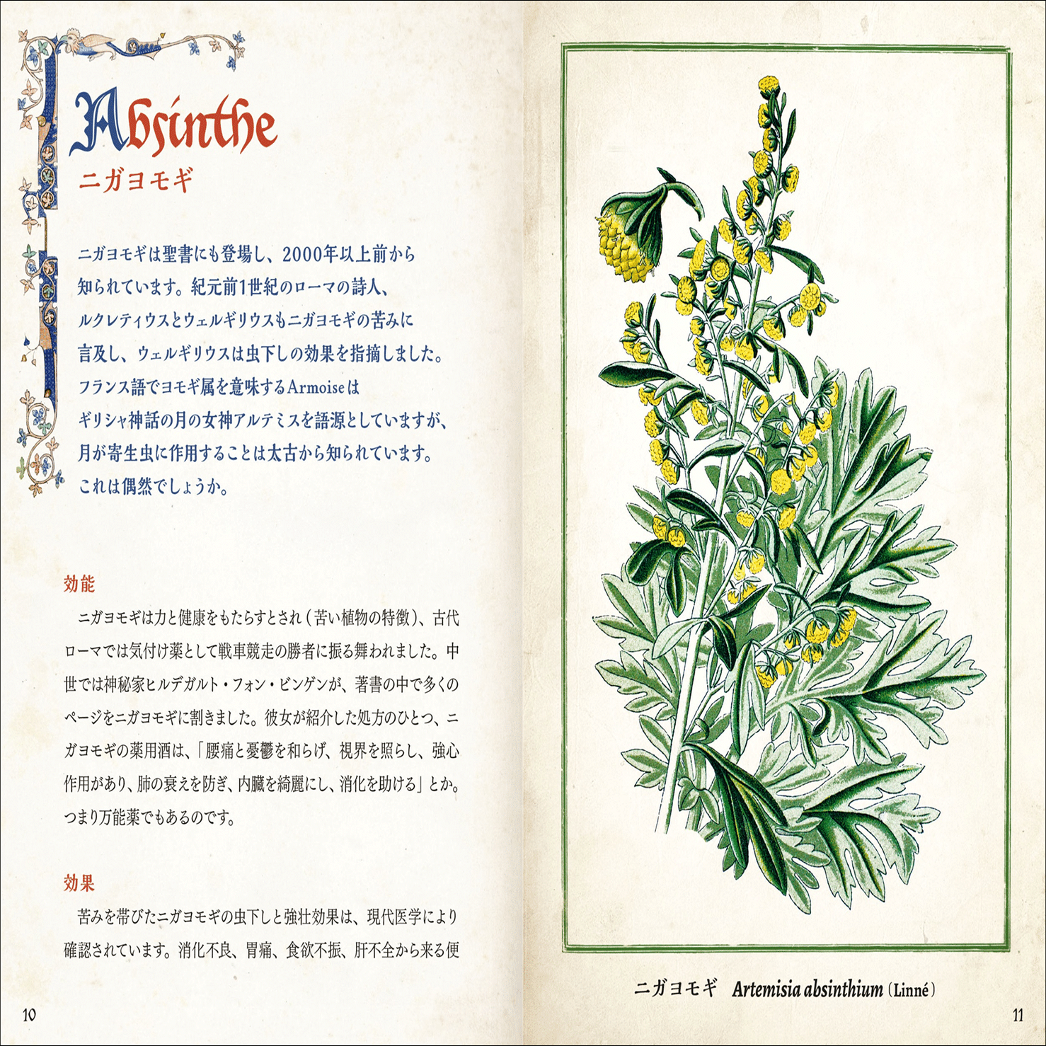 大好評“ひみつの本棚シリーズ”第9弾】古代から現代まで、人を癒してき