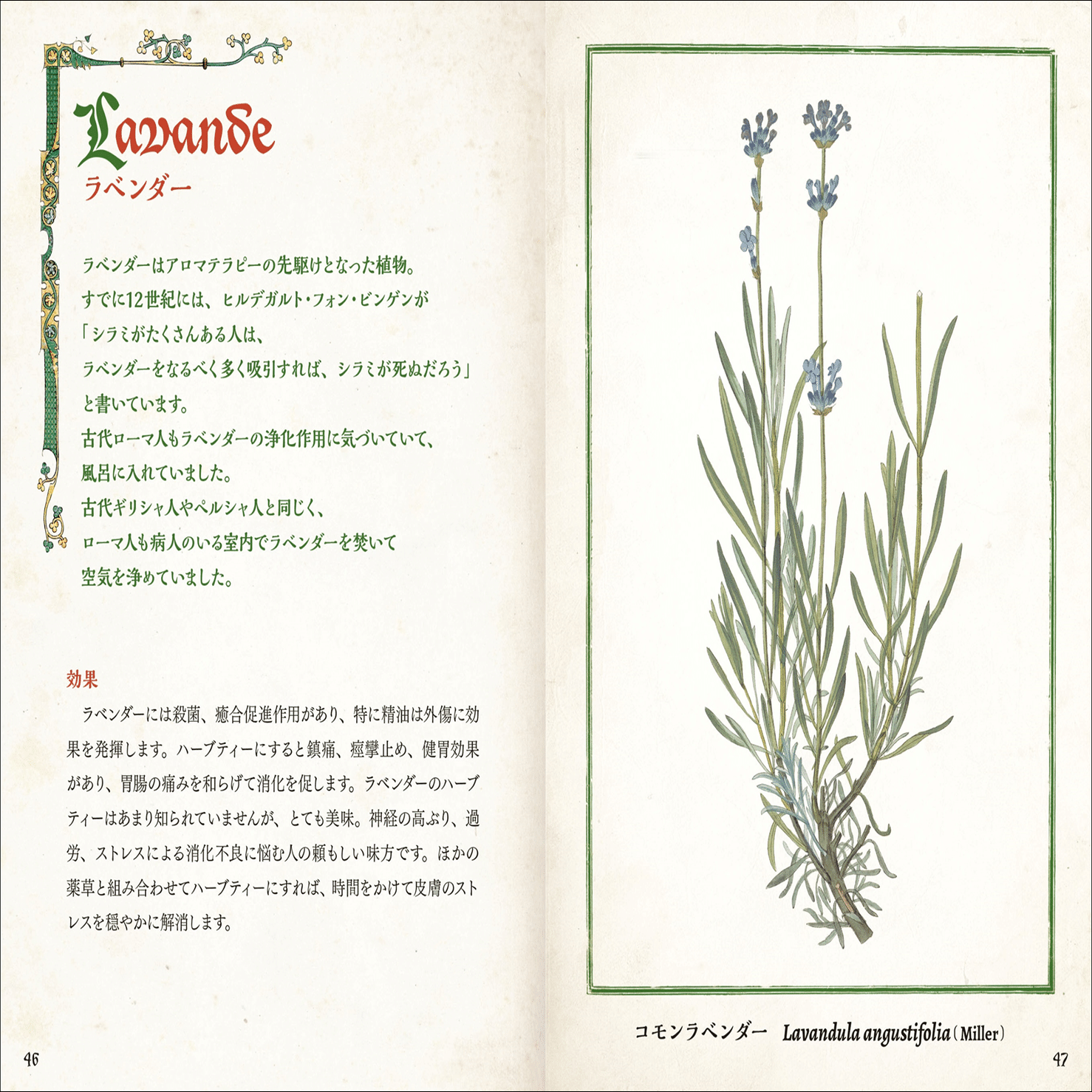 大好評“ひみつの本棚シリーズ”第9弾】古代から現代まで、人を癒してき