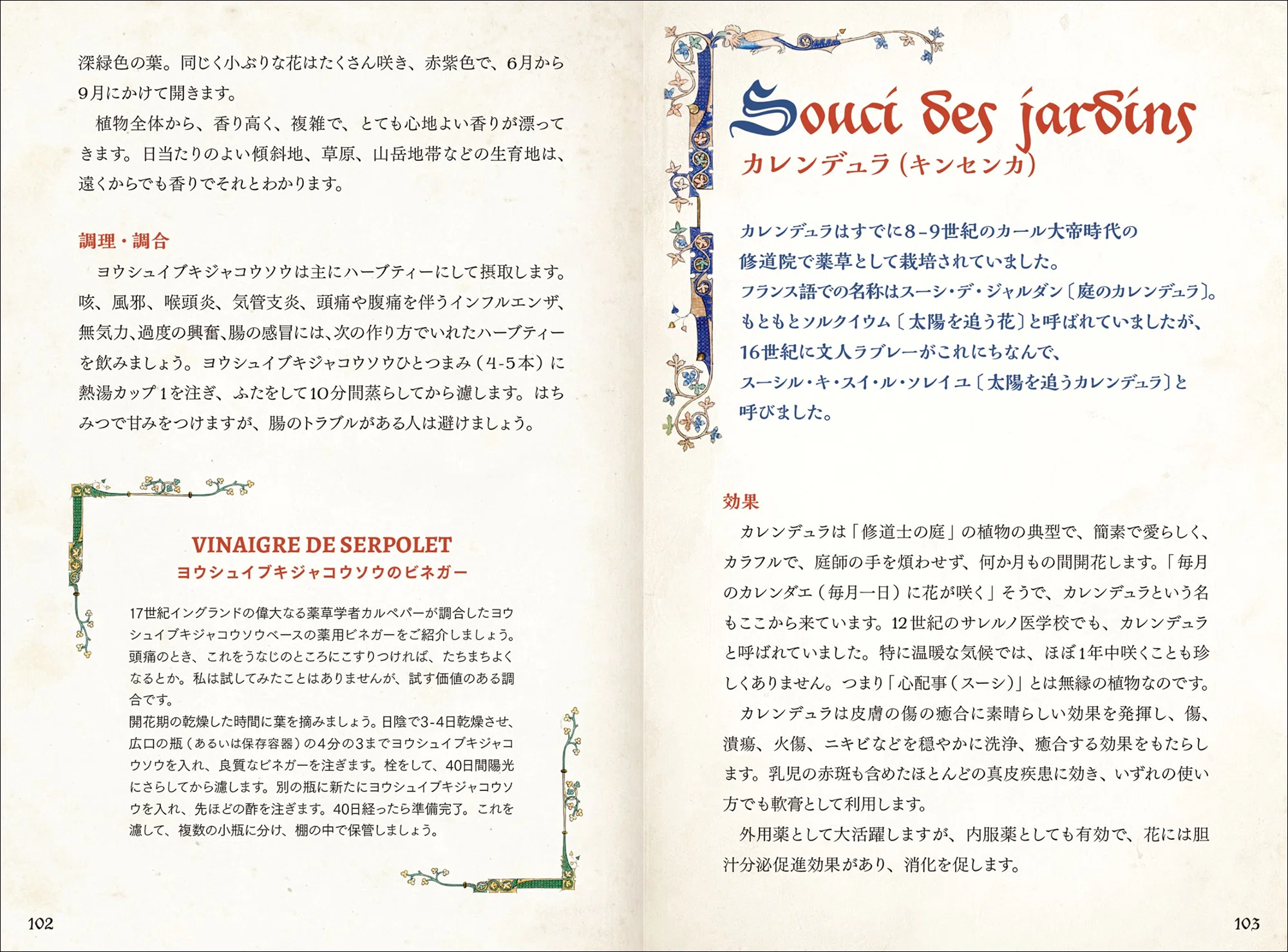 薬草の効能・使用法―採集・栽培から始める (1977年) (ひかりのくに実用文庫―素人園芸ハンドブック) 薬草の効能・使用法―採集・栽培から始める (1977年) (ひかりのくに実用