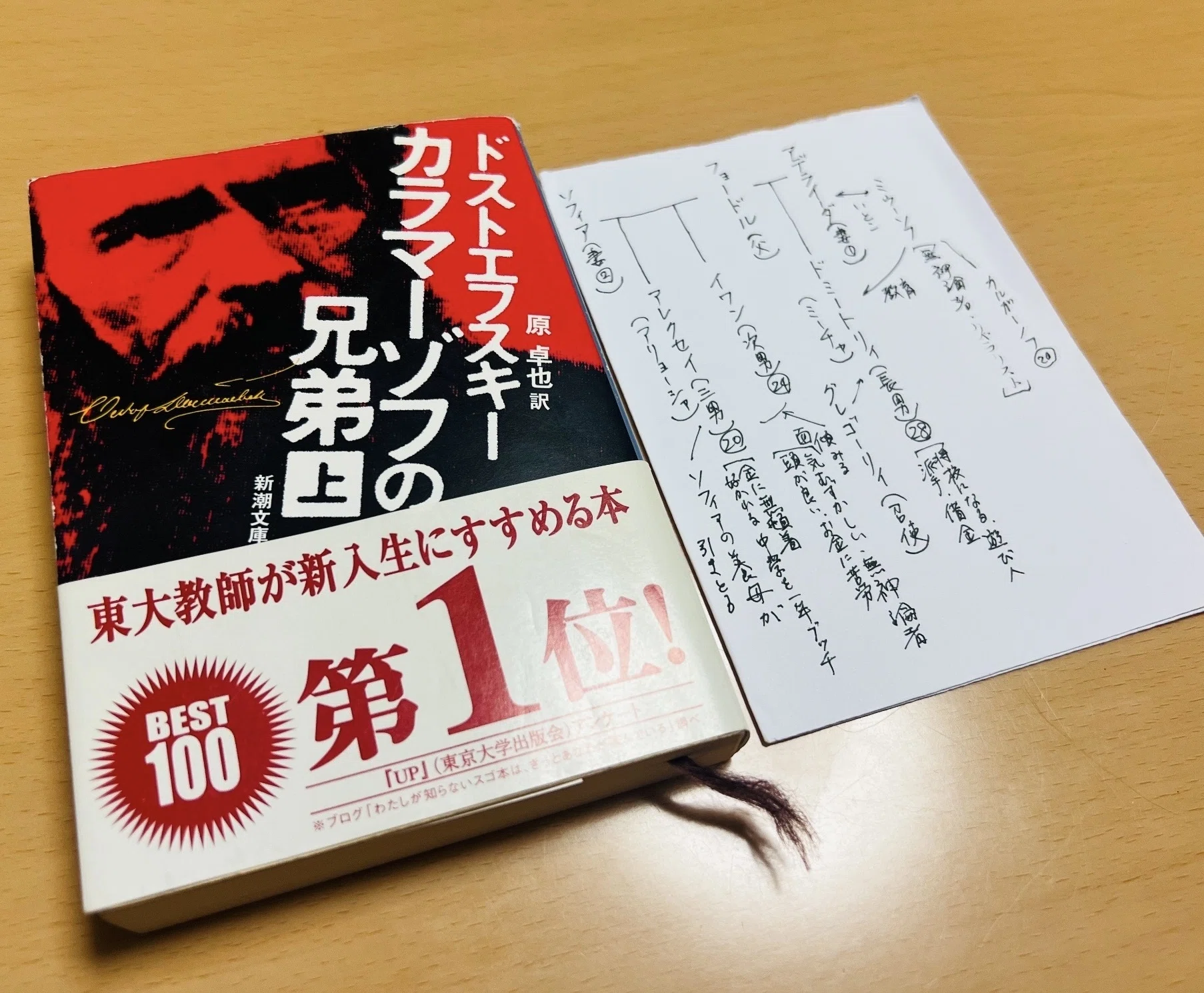 カラマーゾフの兄弟」の感想①読みにくさの正体｜ネコ
