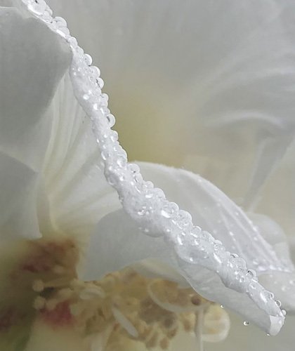 雨上がり Amazon.co.jp: 雨上がり: ミュージック