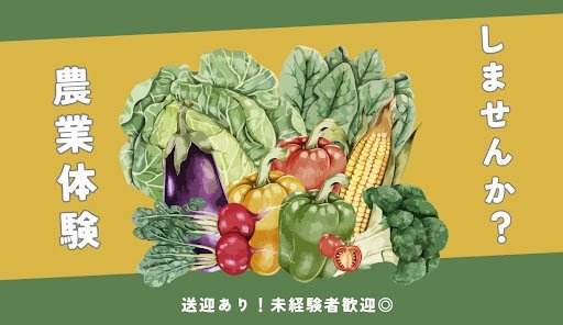 農業体験しませんか？