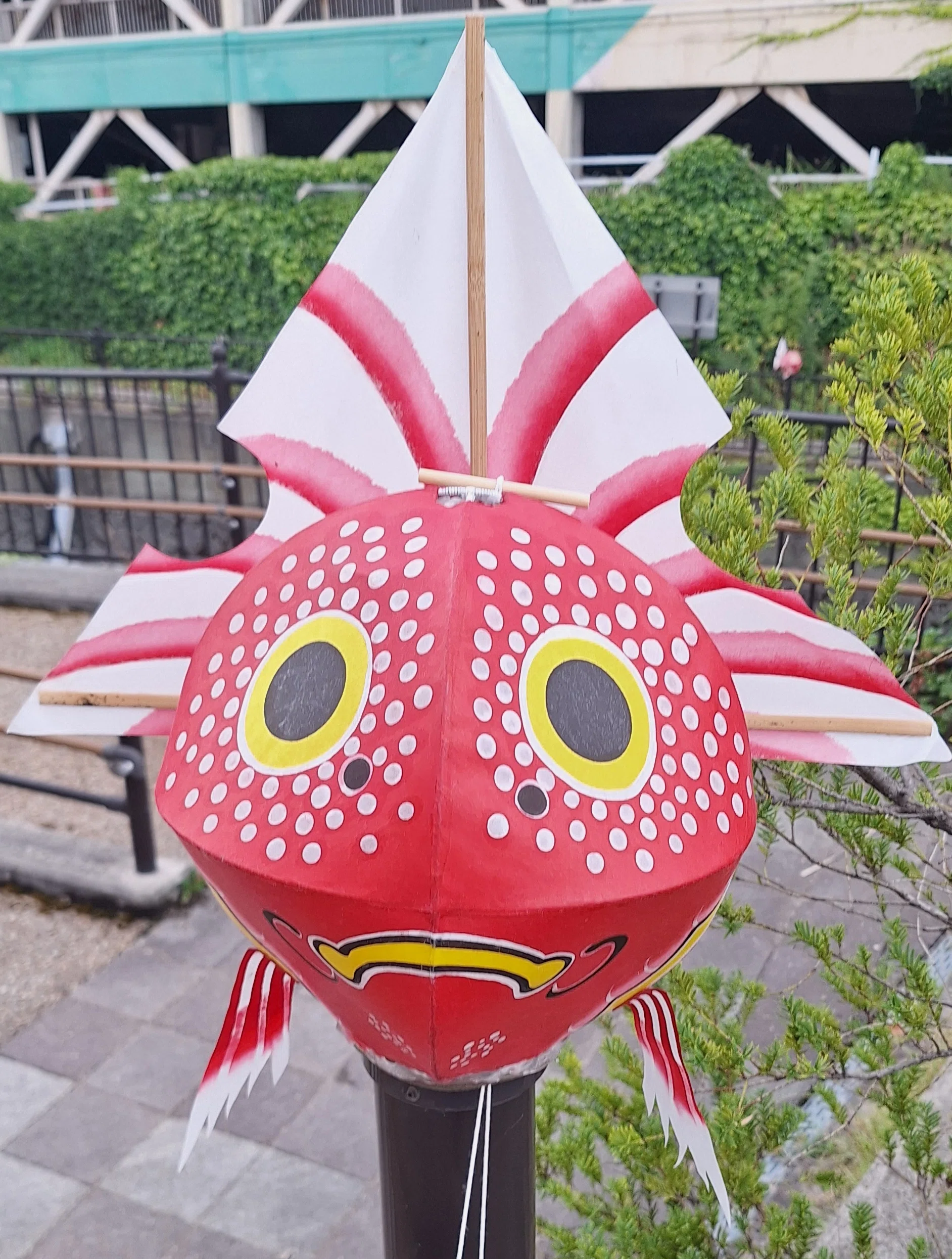 弘前の街を泳ぐ金魚｜たびてく@一人旅ガチ勢