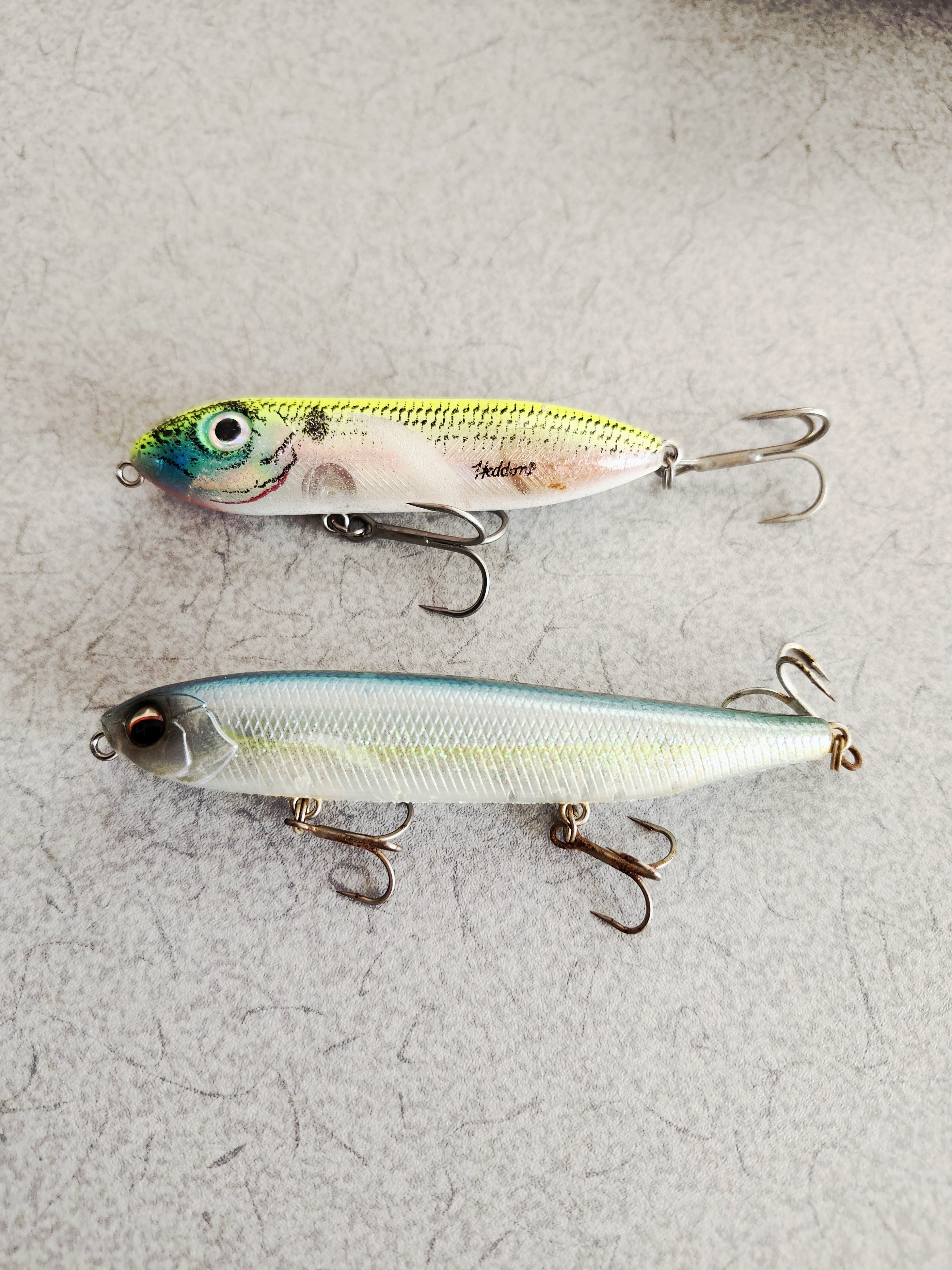 虎　ルアー2個 ルアー編2】魚釣りを体系的に考える。｜にゃんこりー虎の子